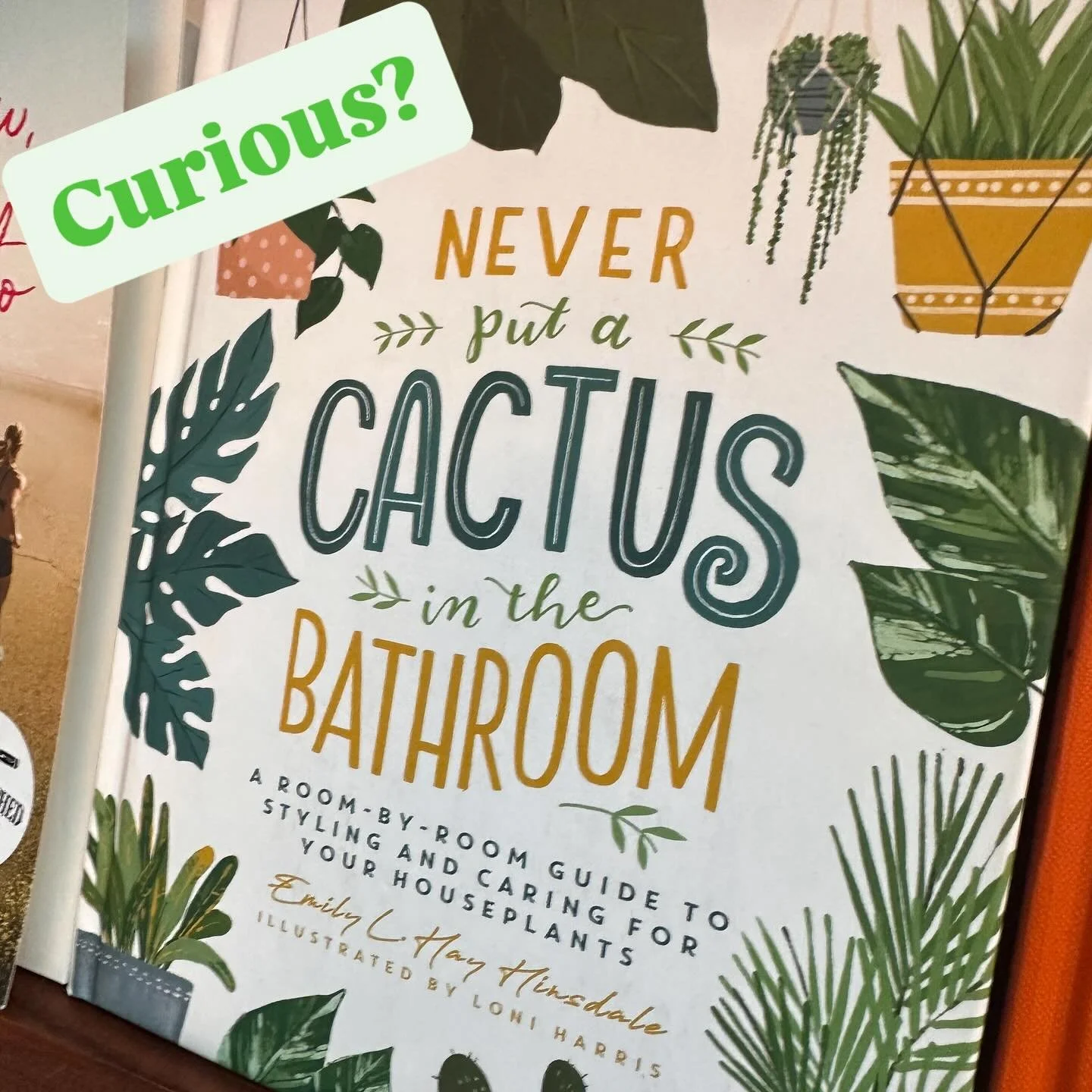 Are you curious? Come check out the answer by hopping down to our shop and checking out the new titles in our “books for adult” section!
