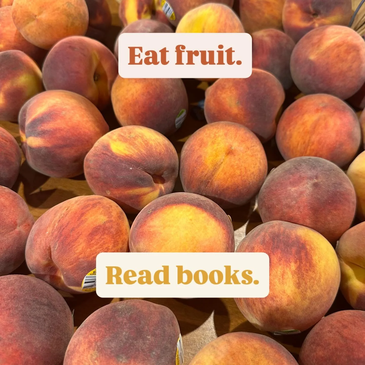 In our opinion, both are essential! Come sink your teeth into a nice juicy book!
