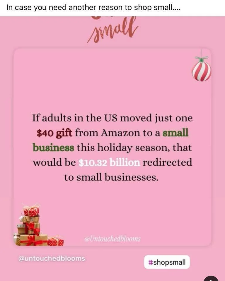 Hope to see you at the Blue Bunny Book and Toy Store this holiday season!