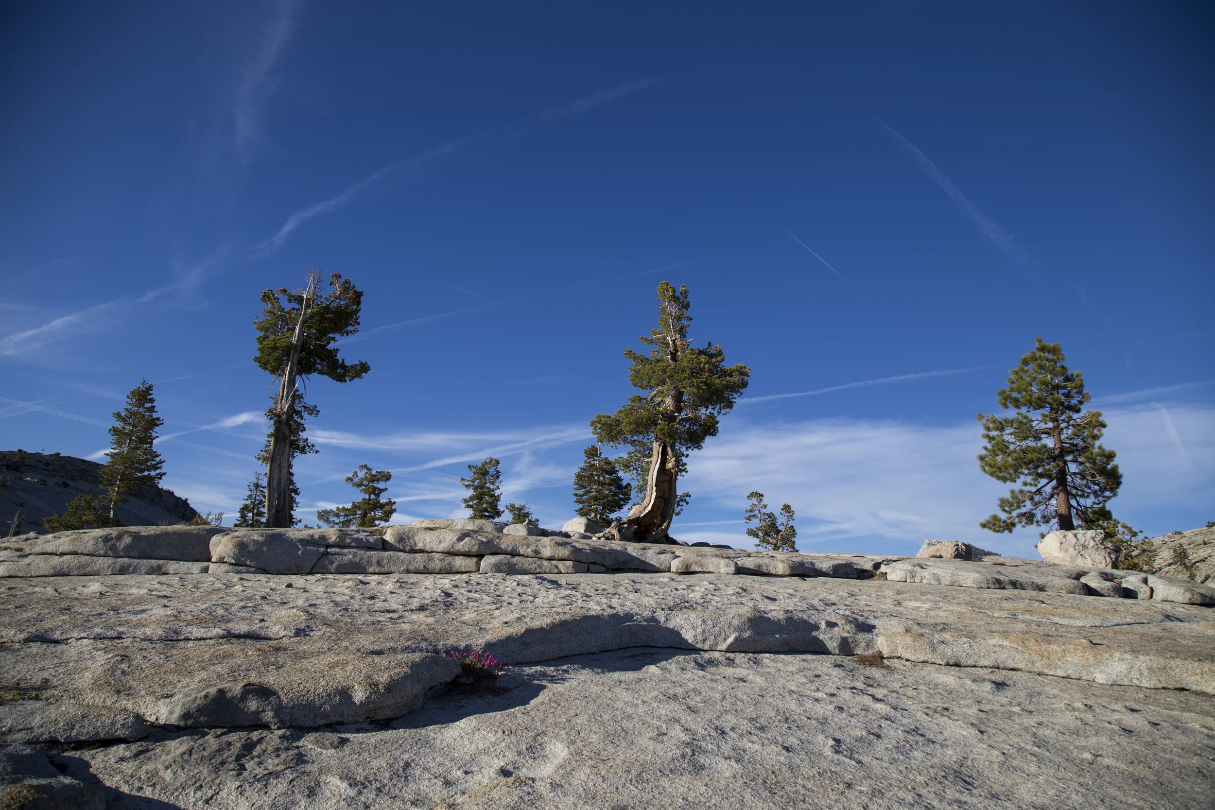yosemite-8.jpg