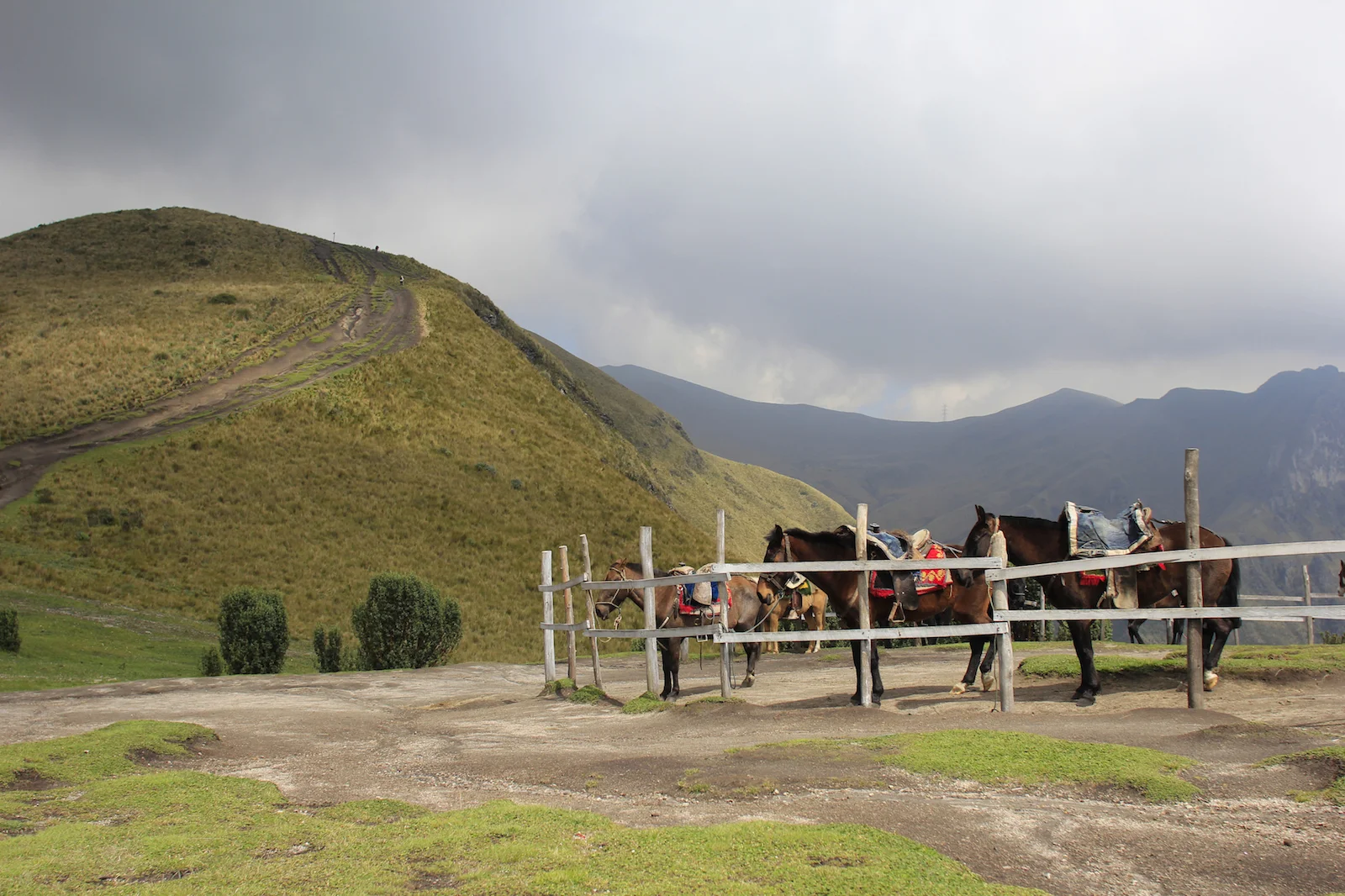 quito-15.jpg