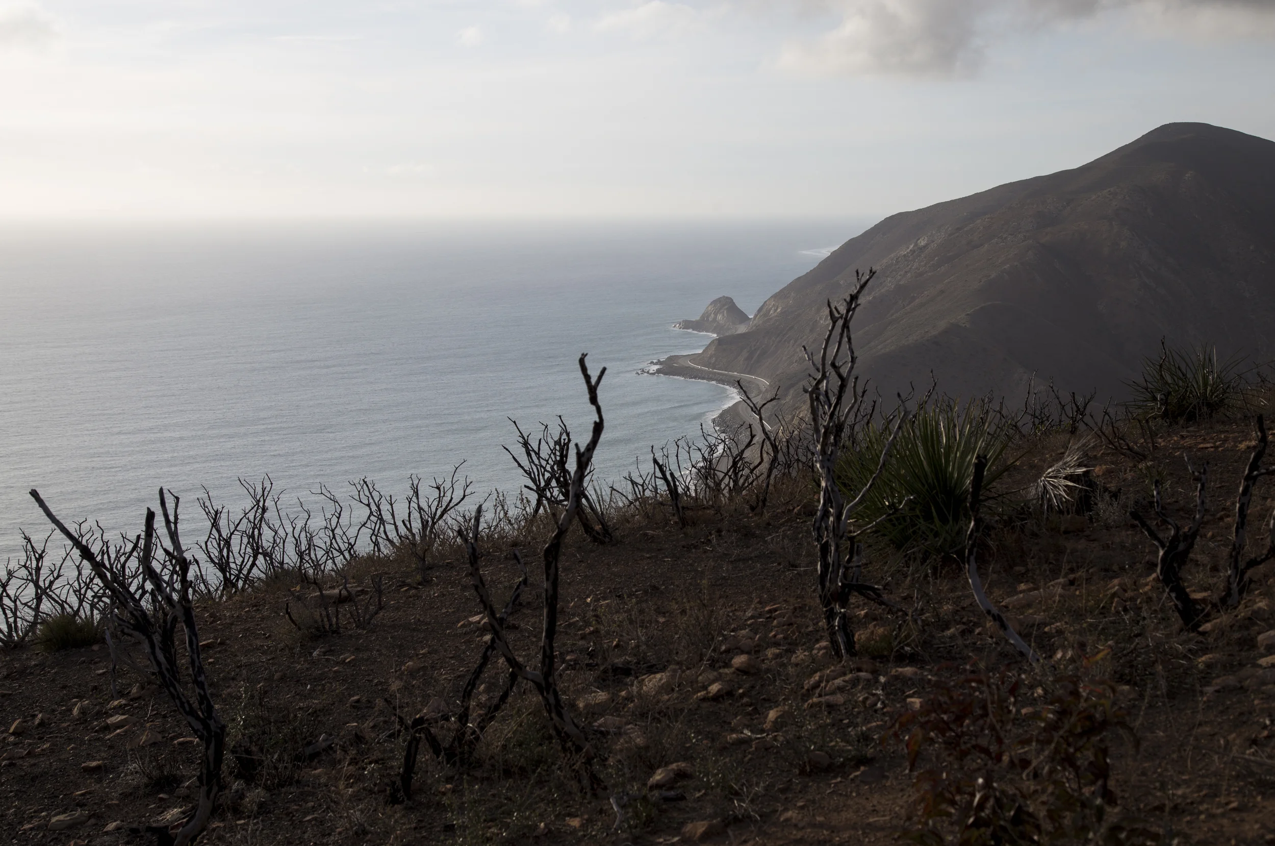 mugu_mt.wilson-22.jpg