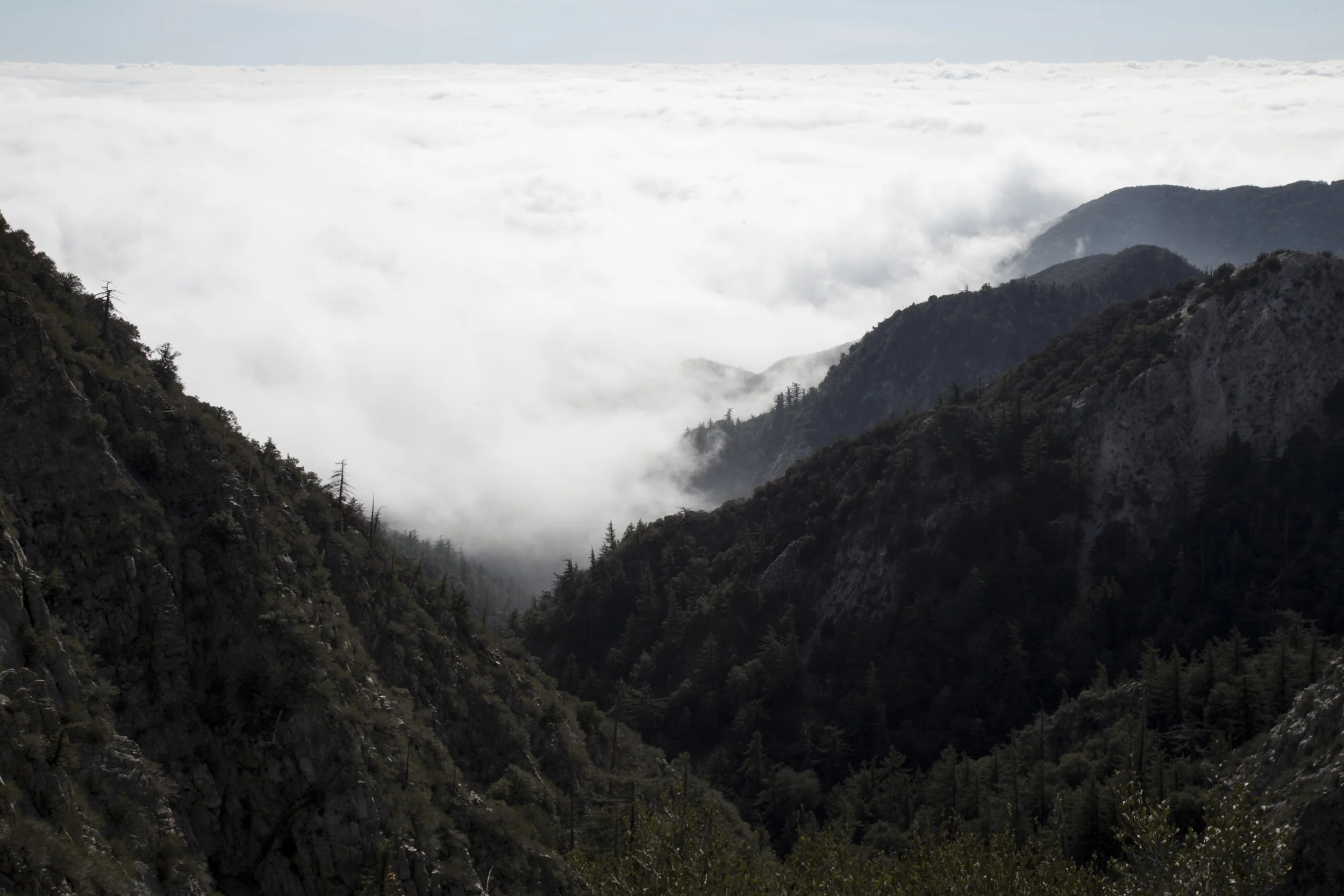 mugu_mt.wilson-57.jpg