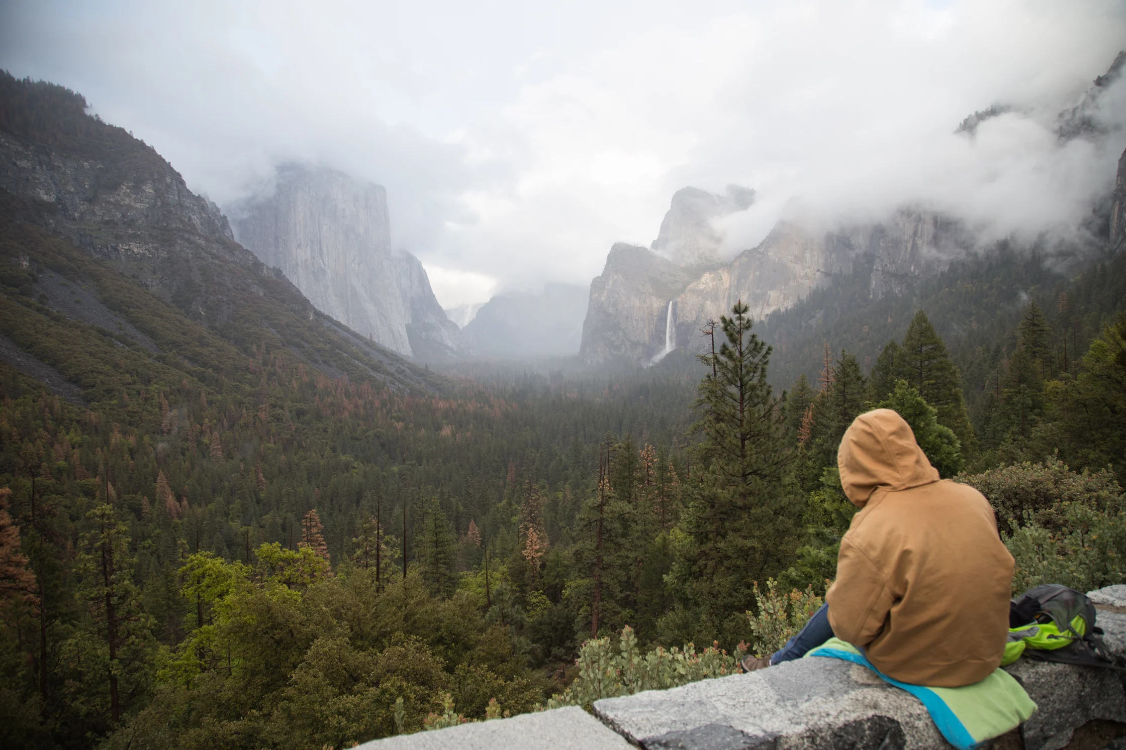 yosemite2016april-1.jpg