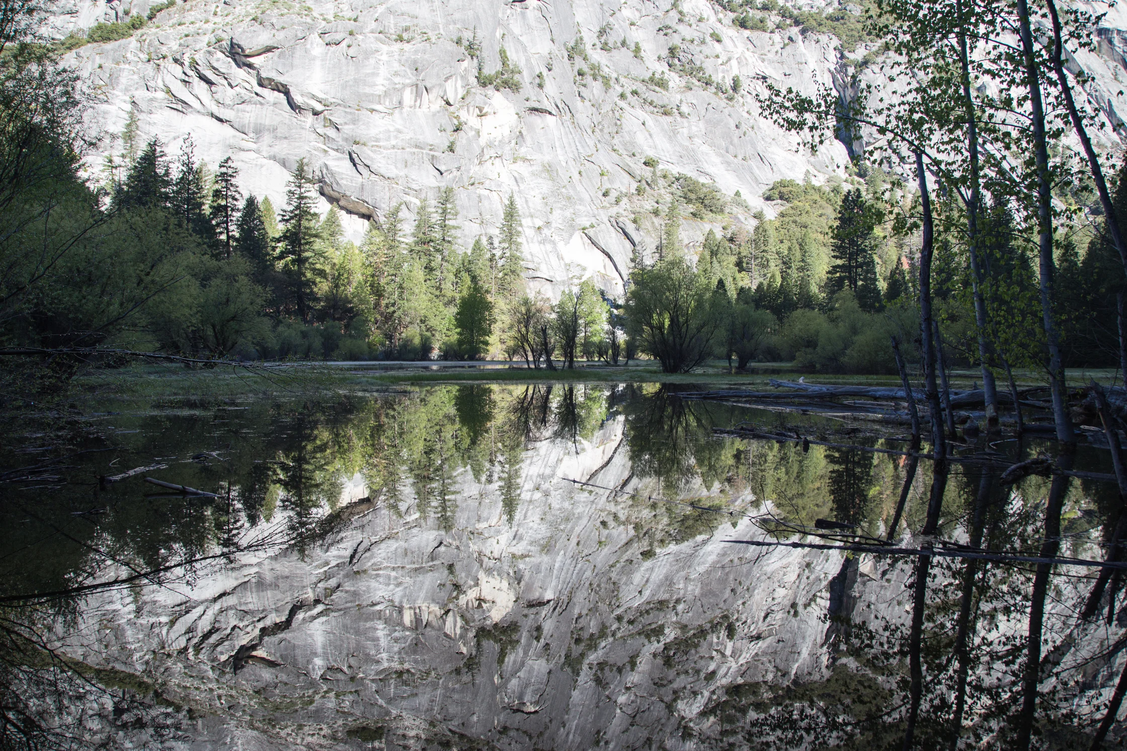 yosemite2016april-26.jpg