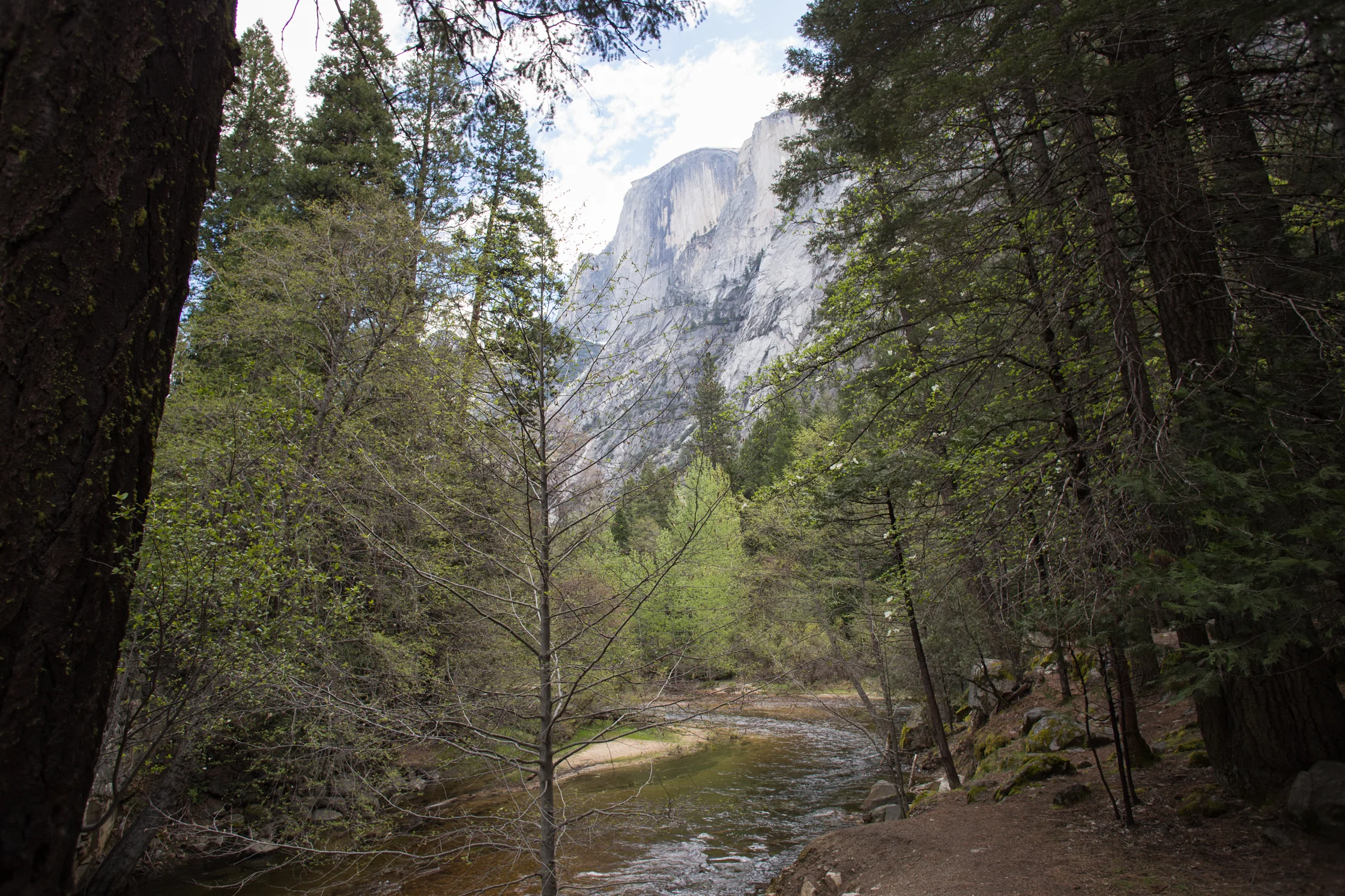 yosemite2016april-65.jpg