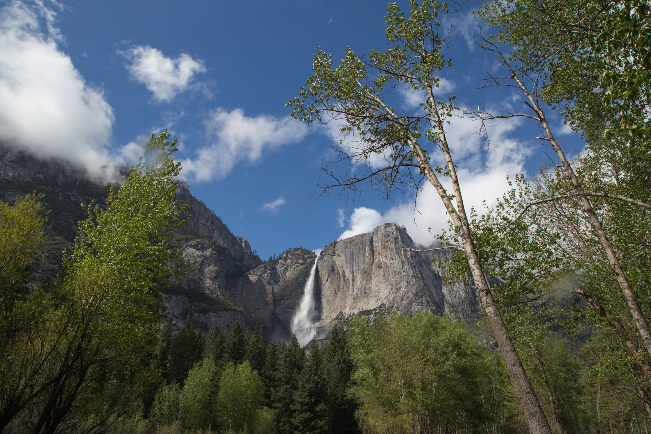 yosemite2016april-88.jpg