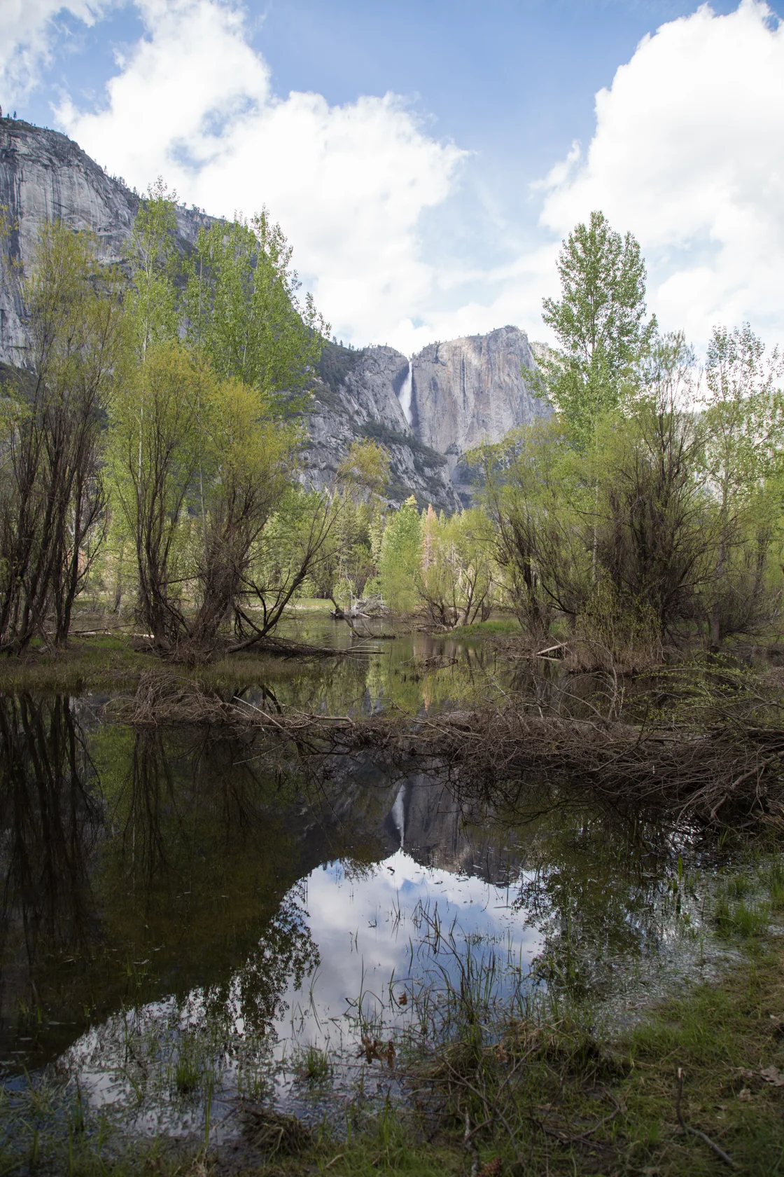 yosemite2016april-152.jpg