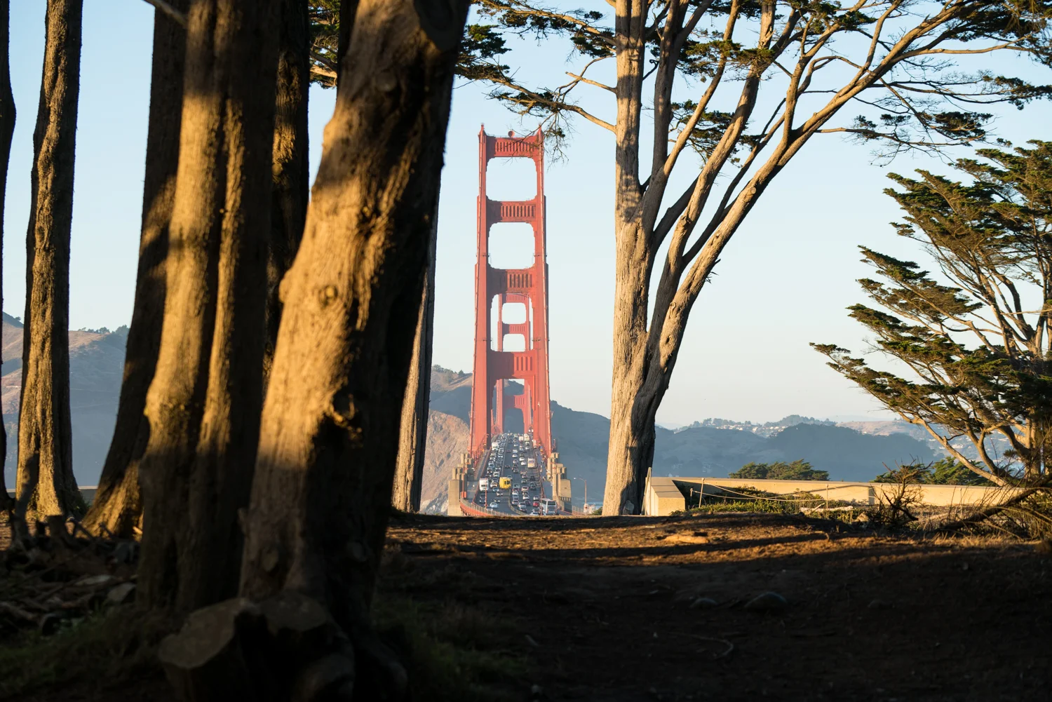 SF_Nov2018-109.jpg