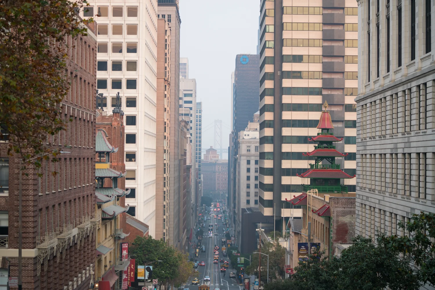 SF_Nov2018-134.jpg