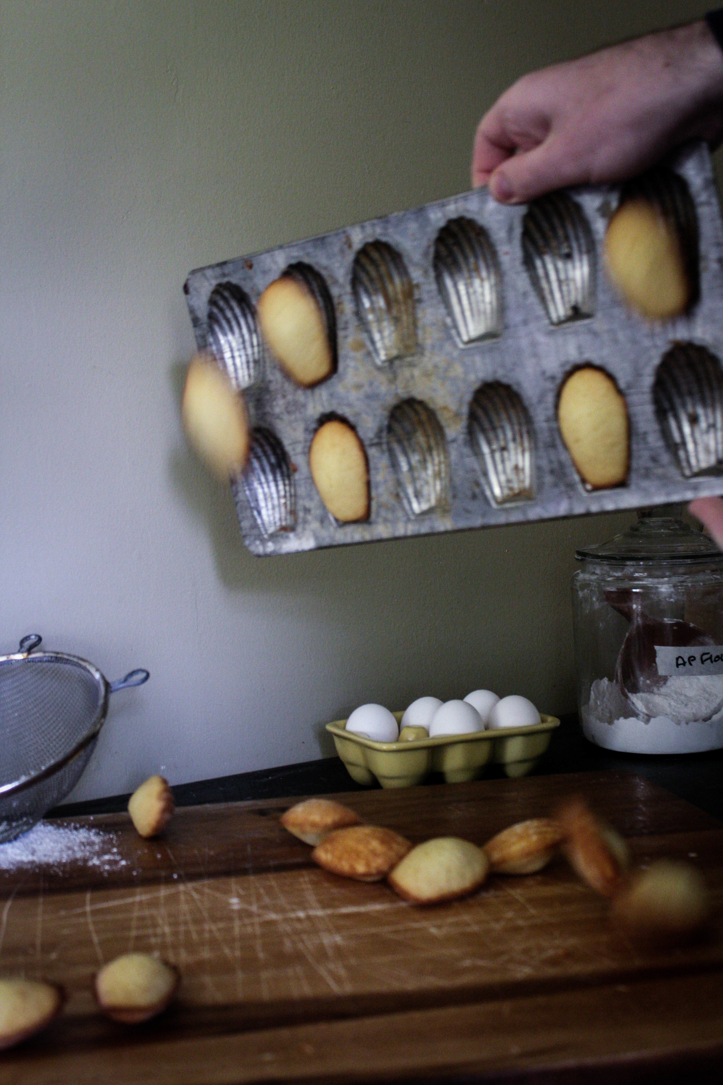 Honey Madeleines from Ruby Tandoh-6.jpg