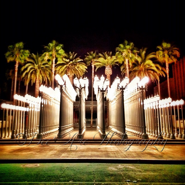 LA City Lights.jpg