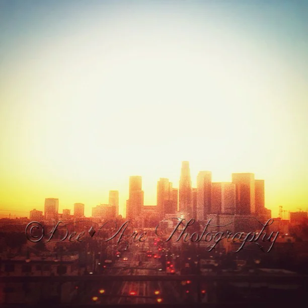 la skyline sunset.jpg