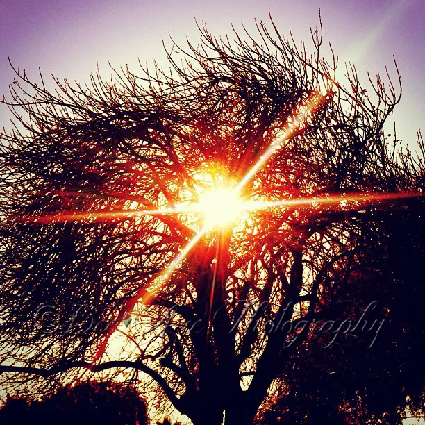Sun thru clouds.jpg
