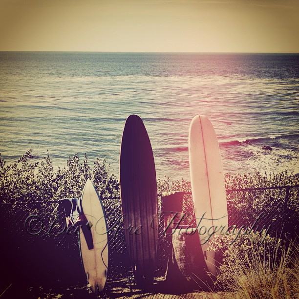 Surfboards.jpg