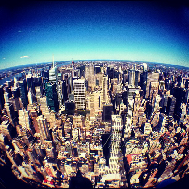 NYC Skyline Fisheye.jpg
