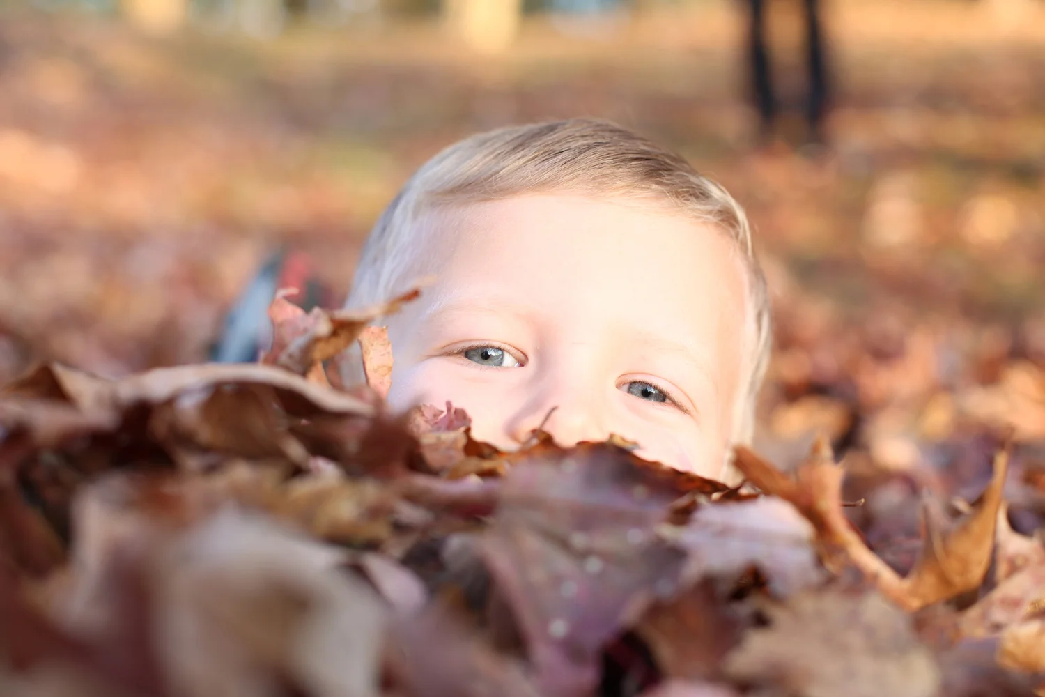 Family Photography in Philadelphia