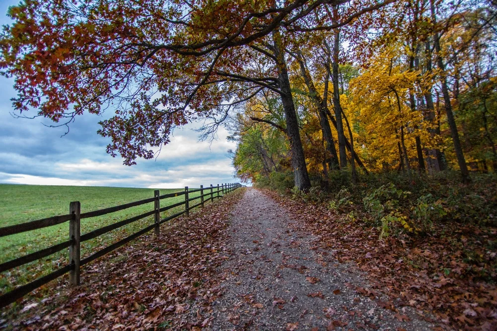 Fox Chase Farm Trails-2.jpg