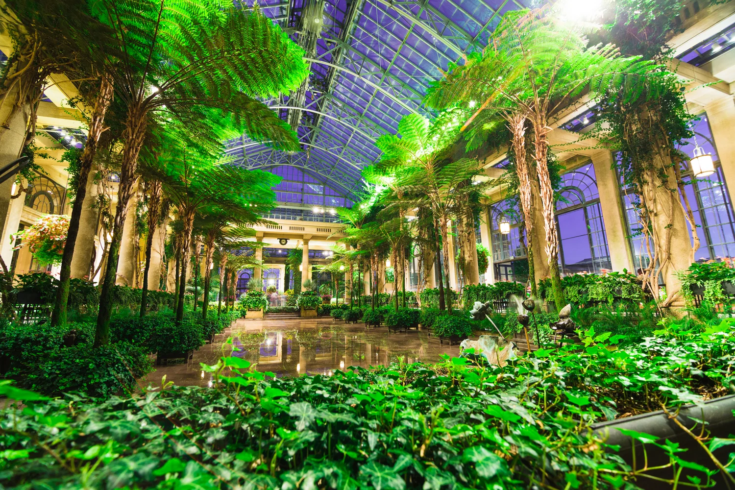 Longwood Gardens-1.jpg