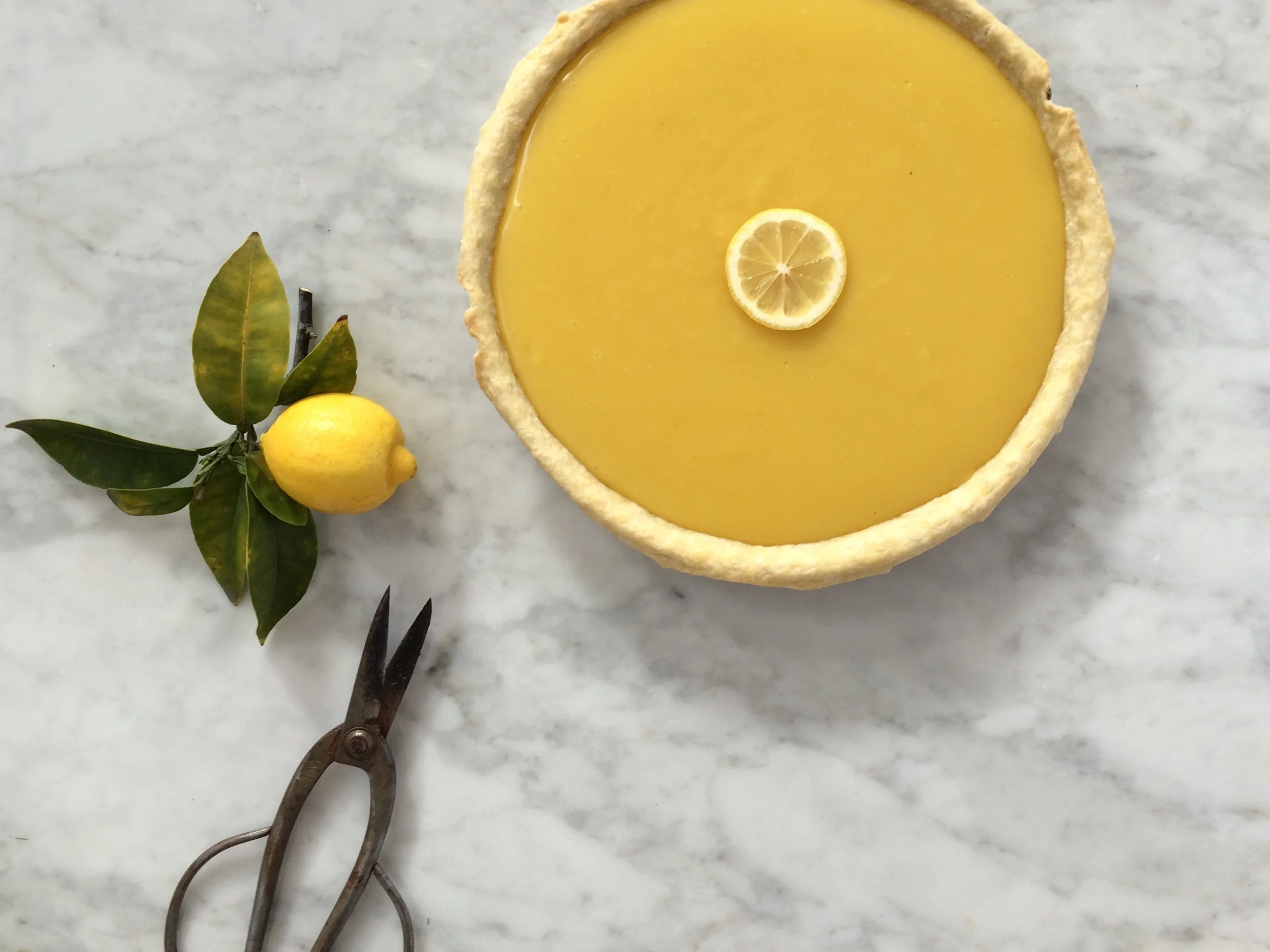 For Your Main Squeeze