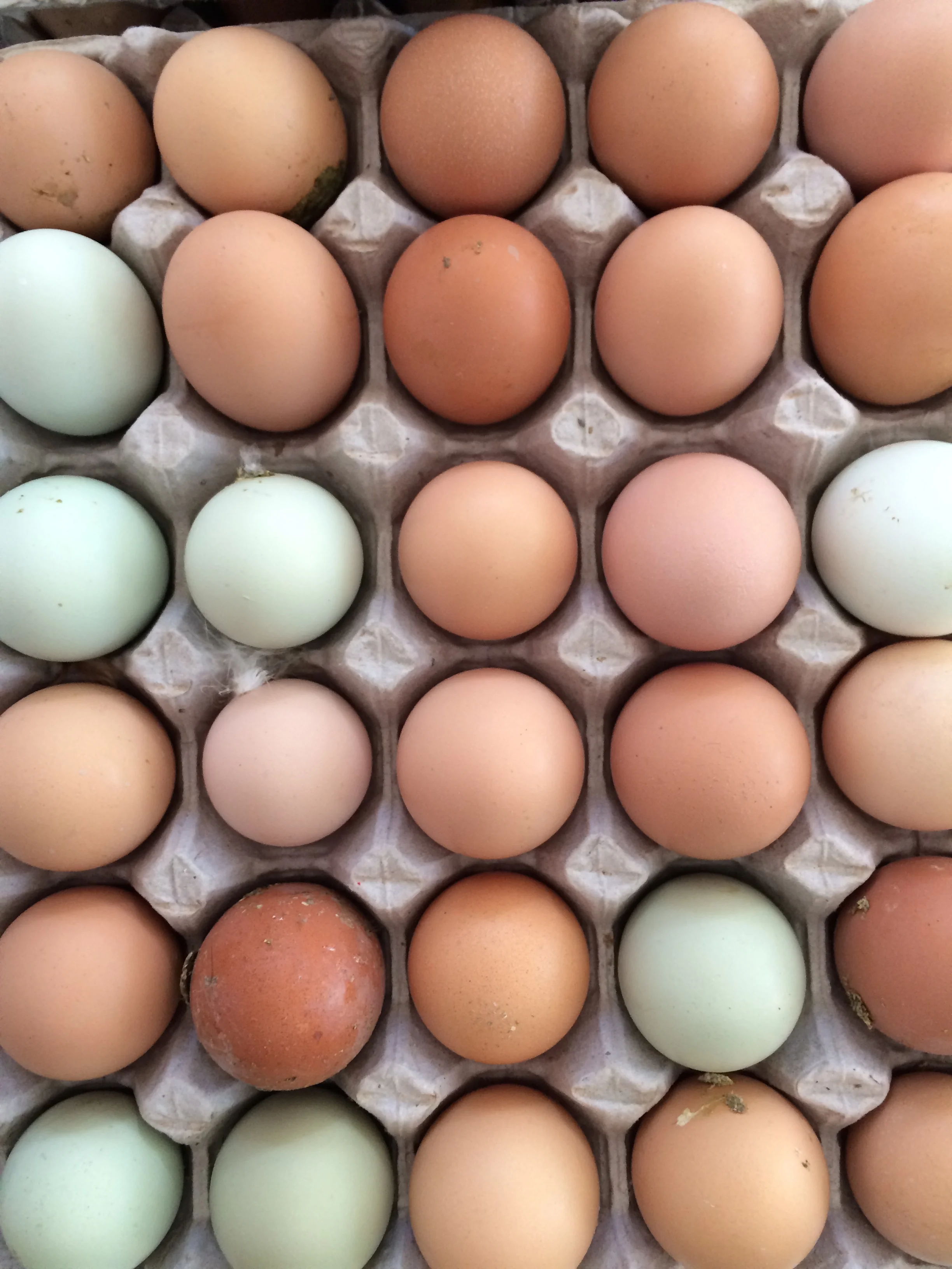 Recipes, Week of March 9