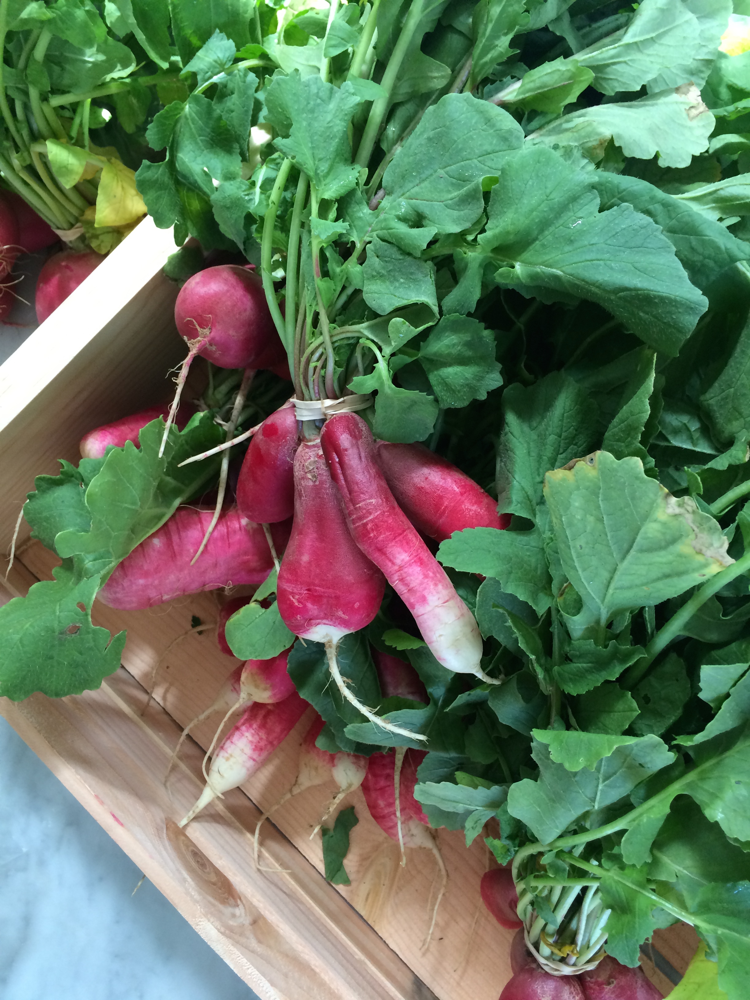 Recipes, Week of March 16