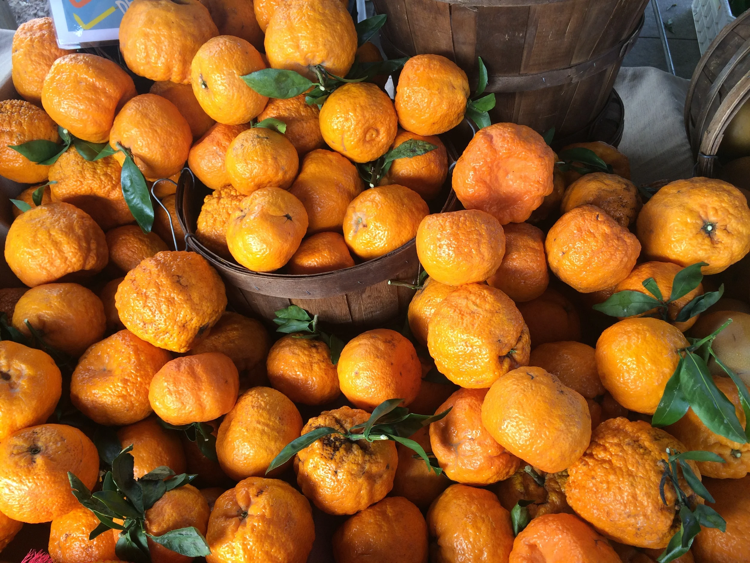 Recipes, Week of March 30