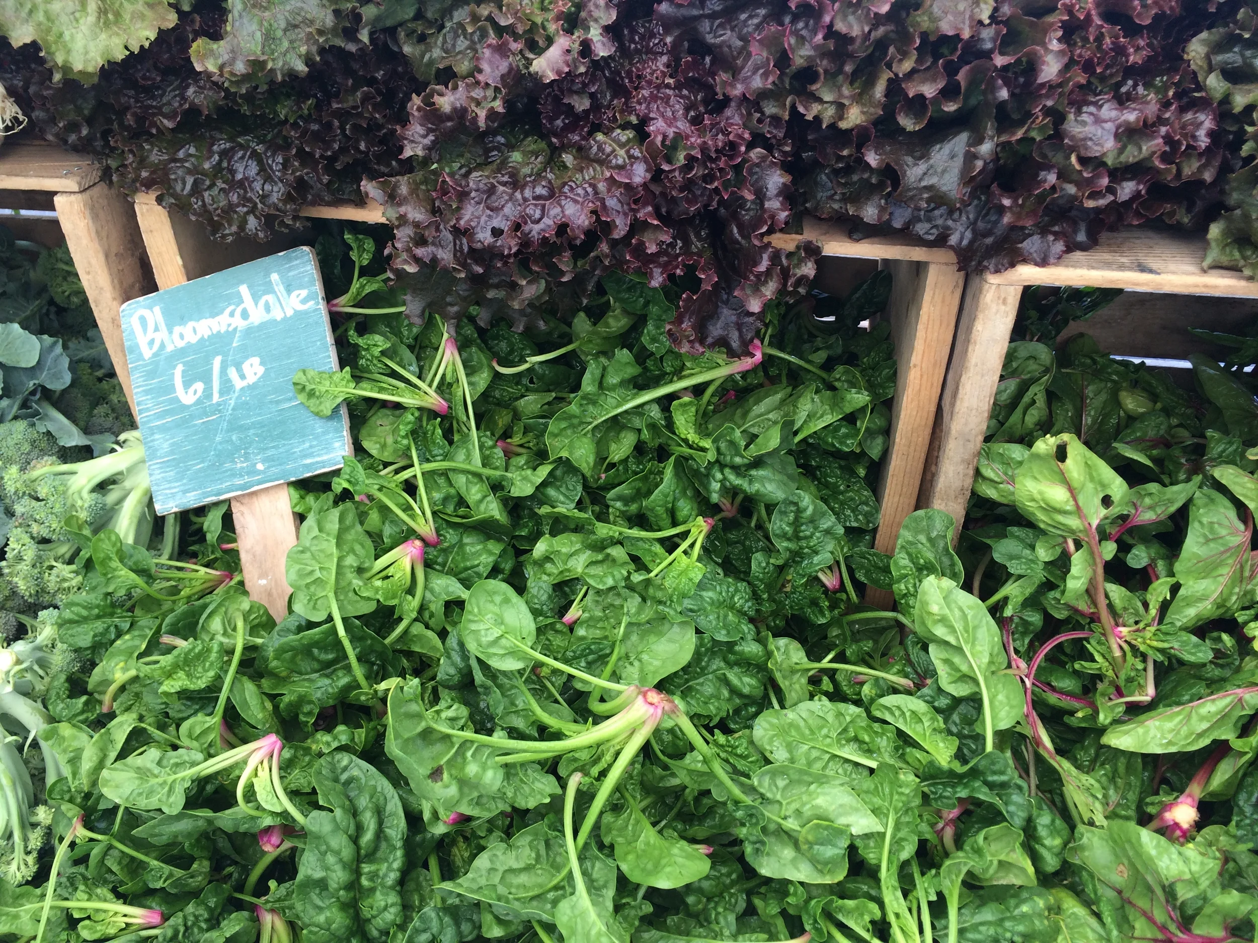 Recipes, Week of April 13