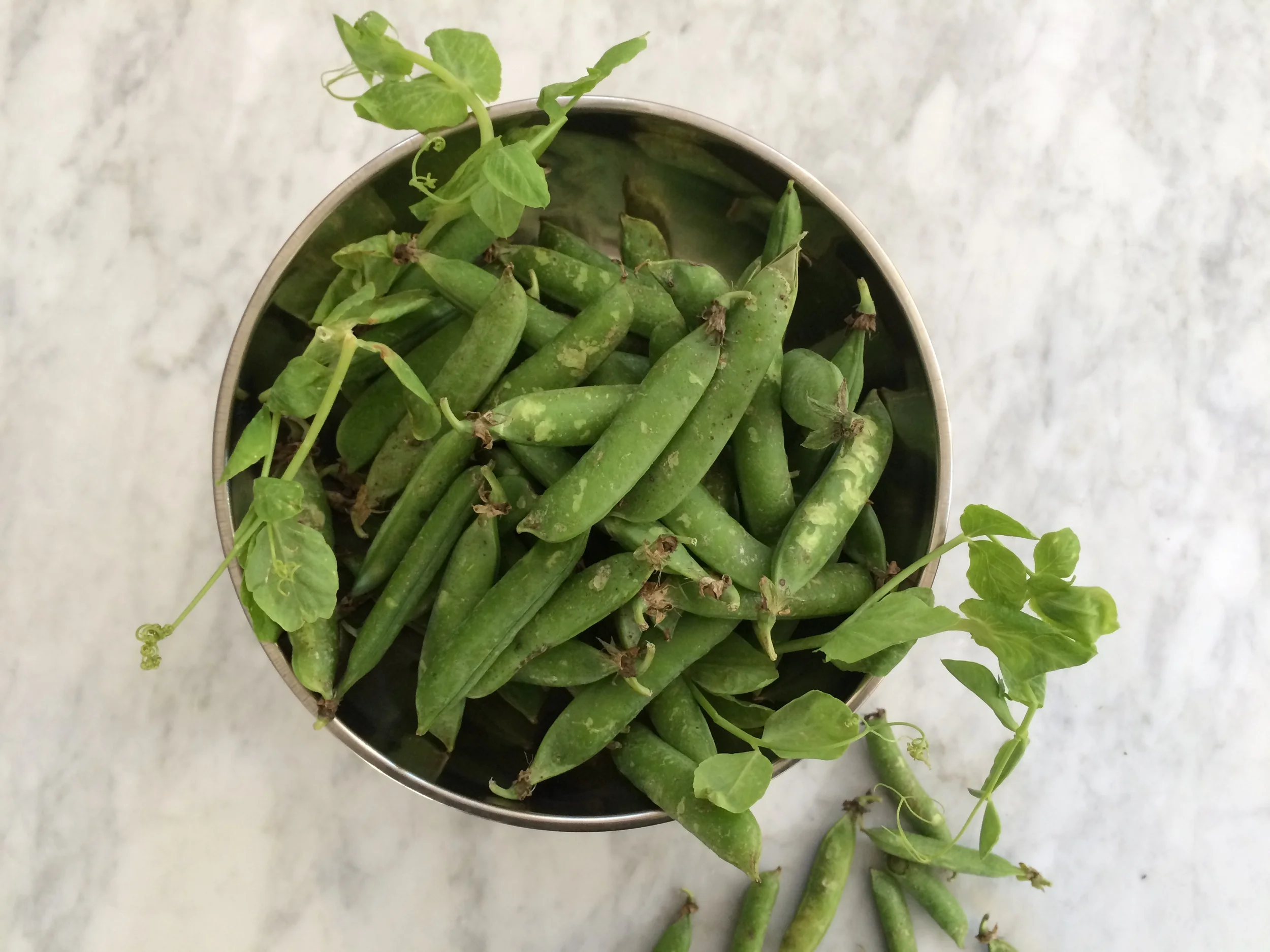 Recipes, Week of April 20