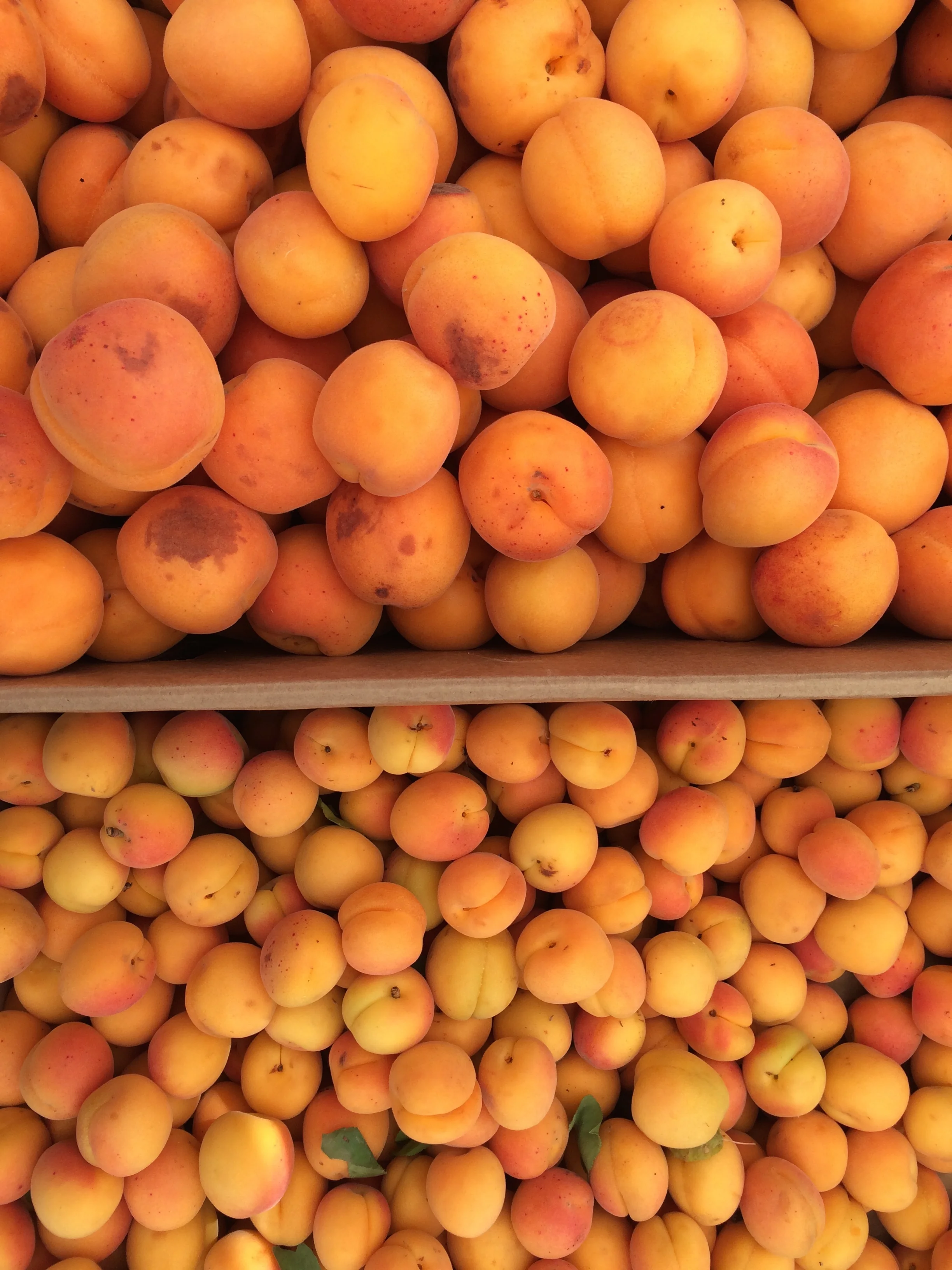 Recipes, Week of May 18