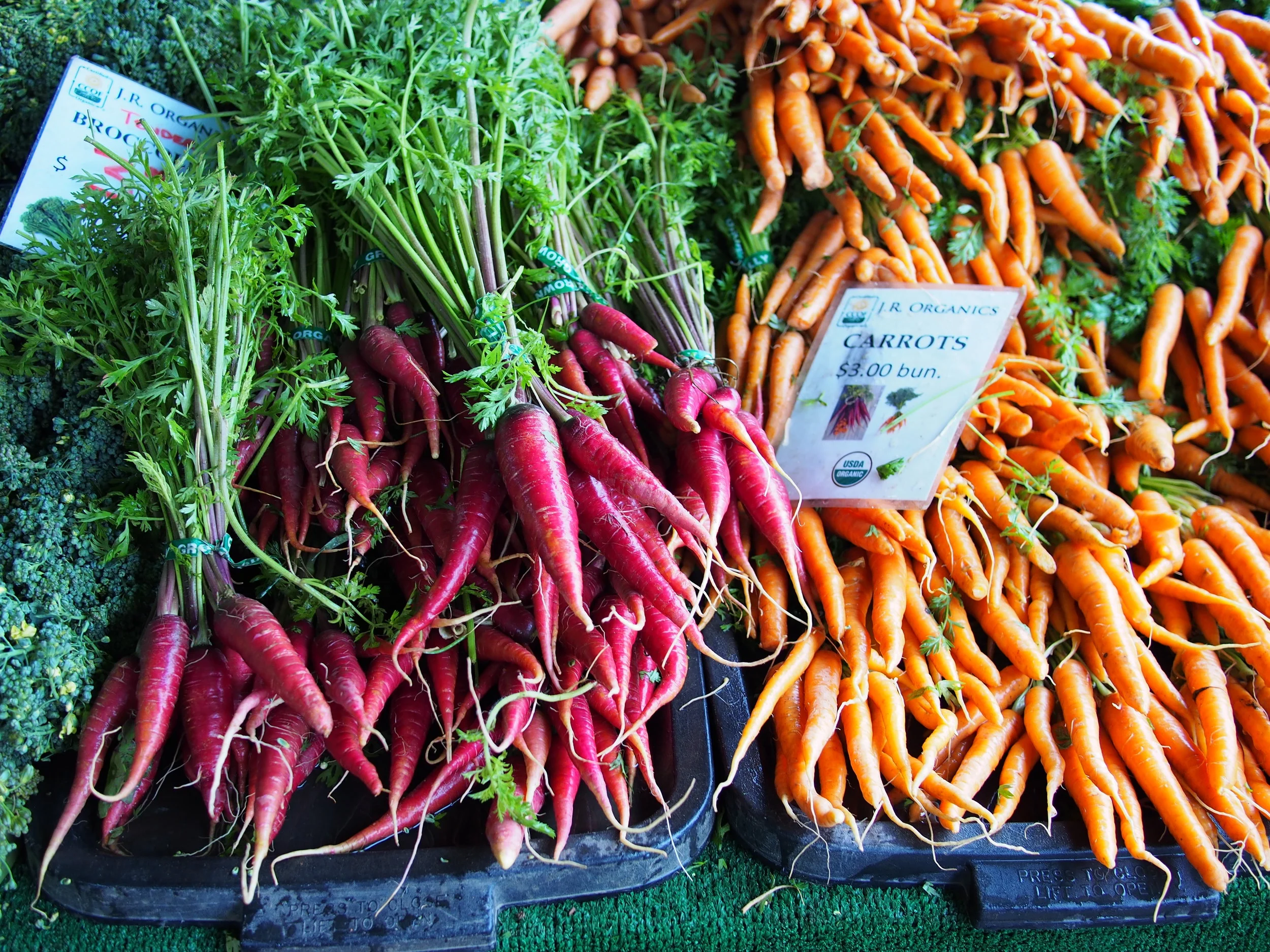 Recipes, Week of June 15