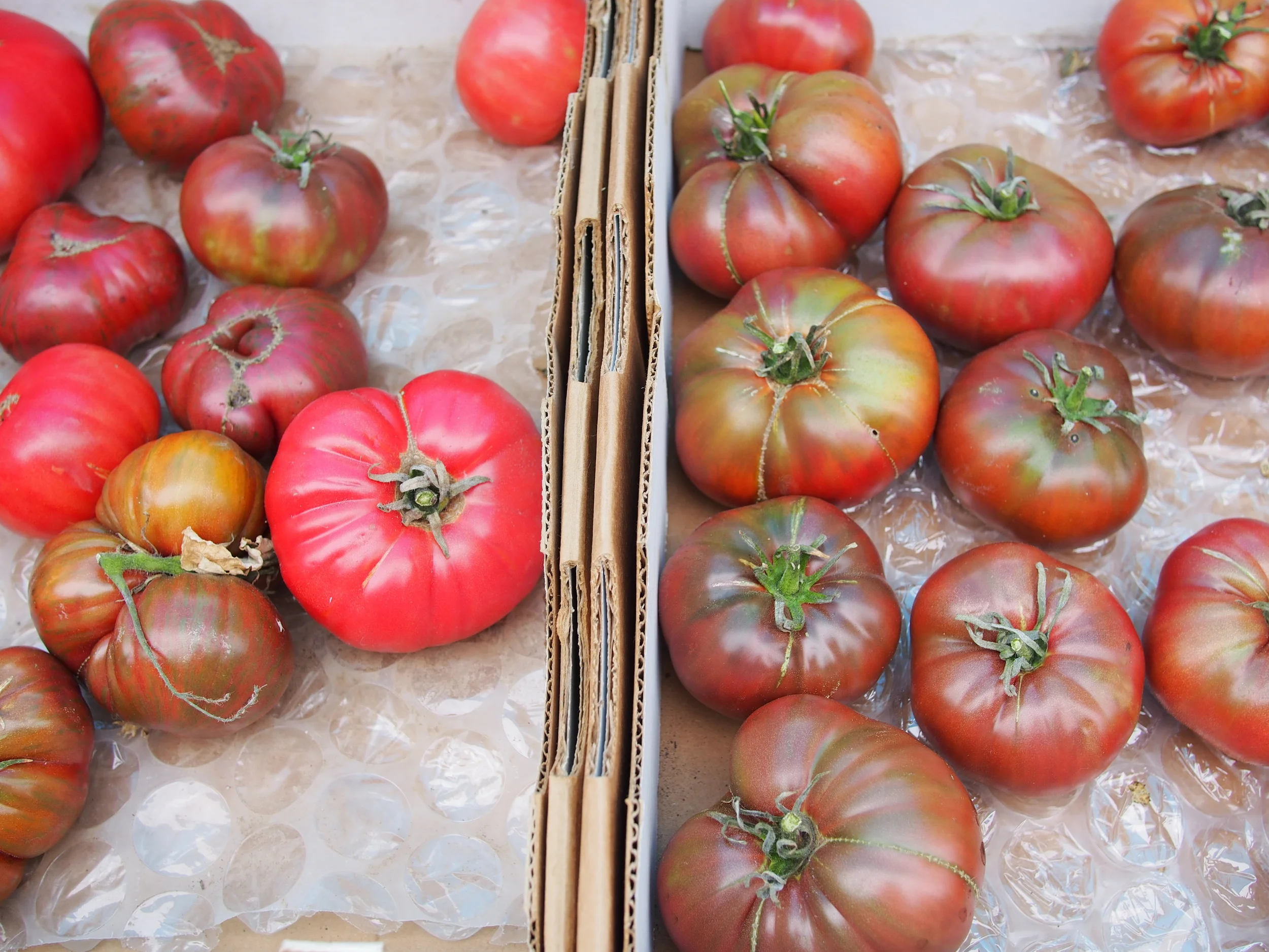 Recipes, Week of July 20