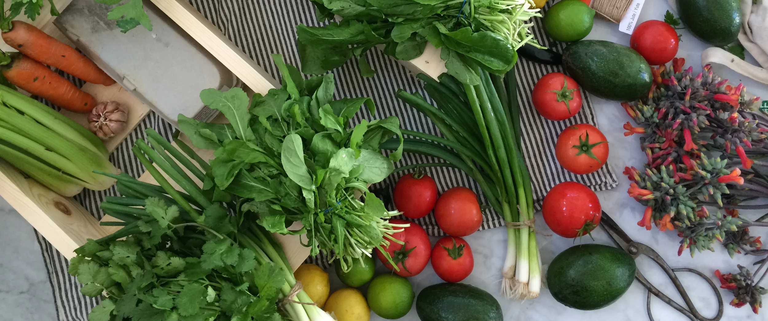 cropped feature image.jpg