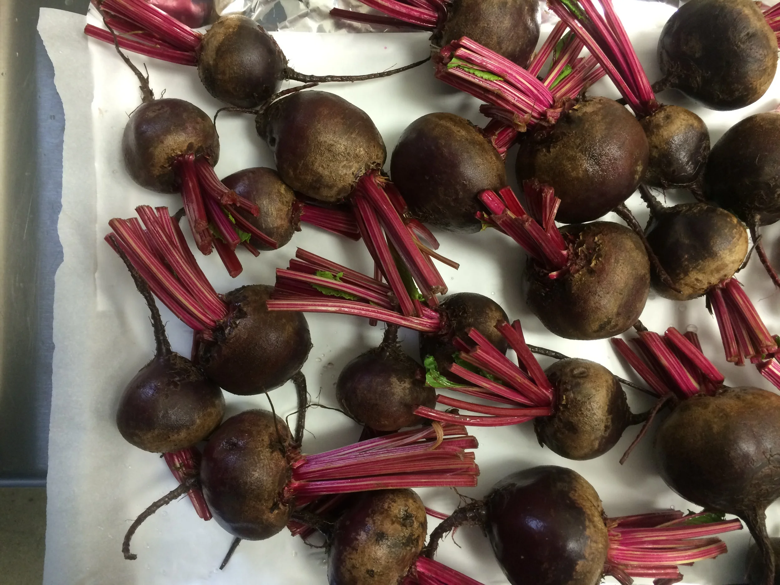 Recipes, Week of August 24