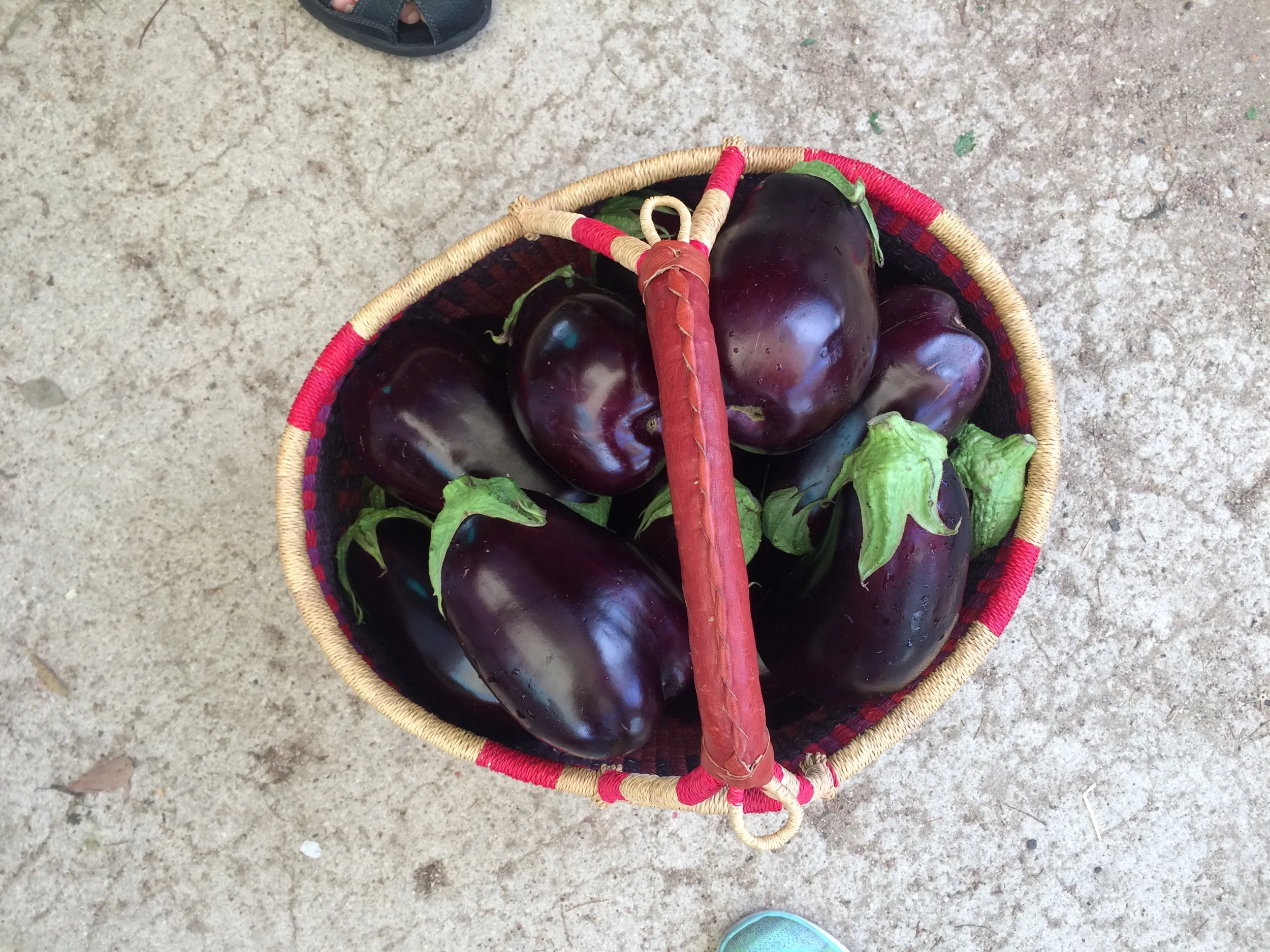 Recipes, Week of August 31