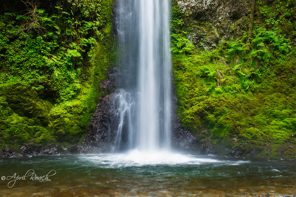 Weisendanger Falls Detail, Columbia River Gorge, Oregon