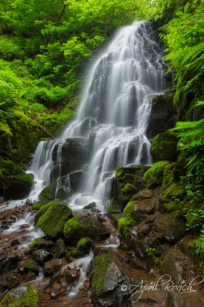 Fairy Falls, Columbia River Gorge, Oregon