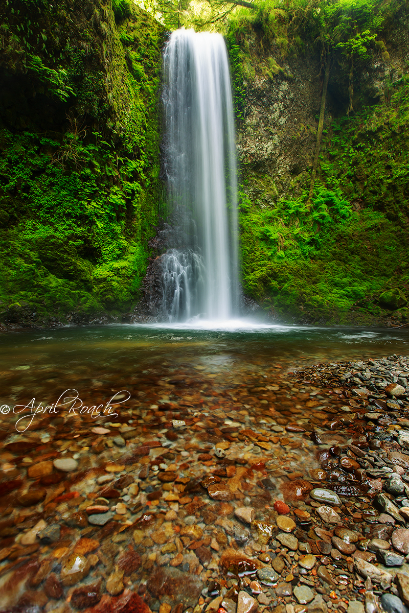 Weisendanger Falls, Columbia River Gorge, Oregon
