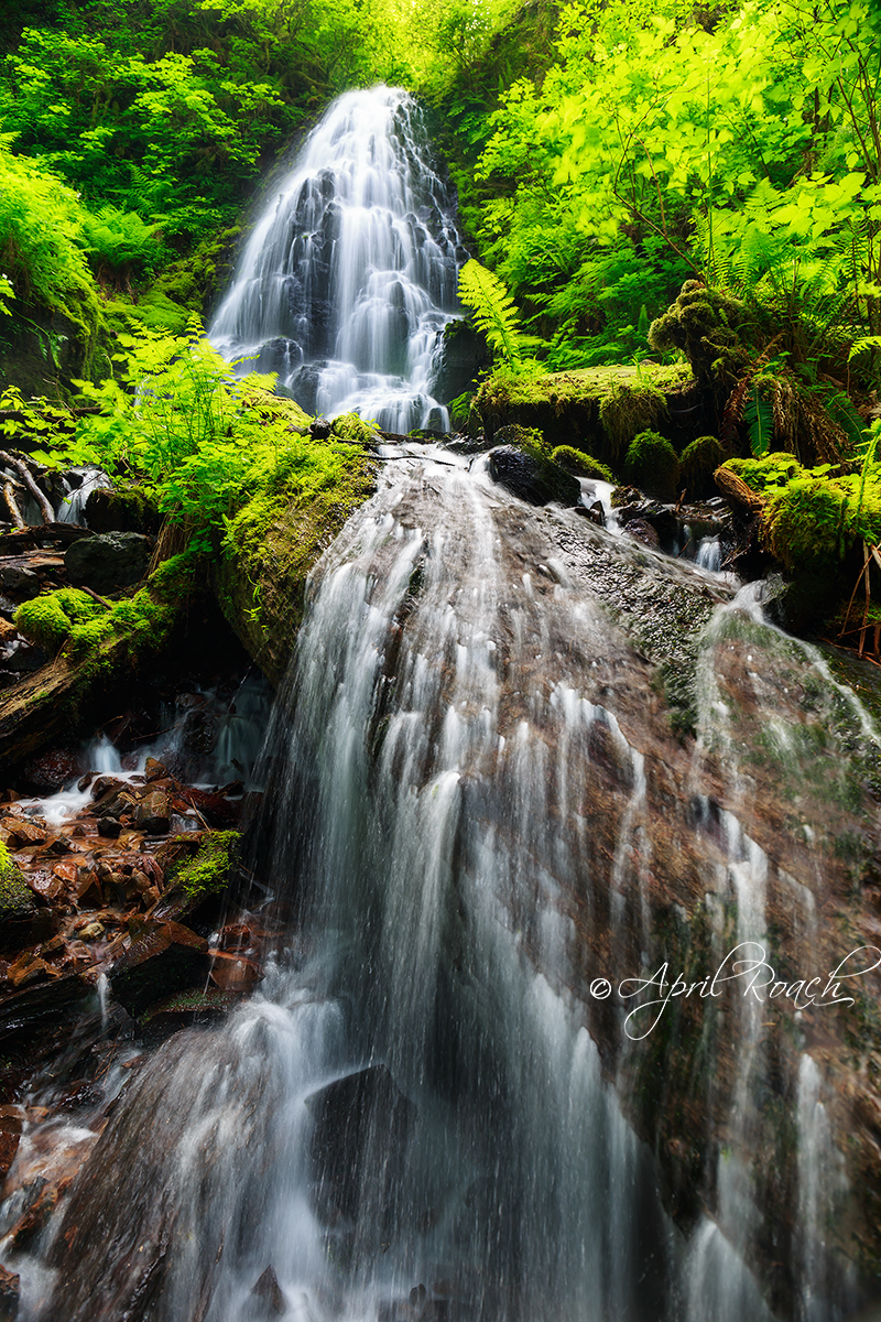 Fairy Falls, Columbia River Gorge, Oregon