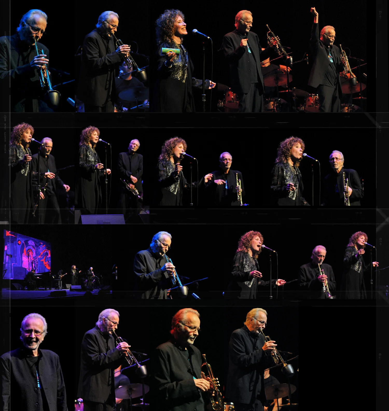 hawaii-concert-contactsheet.jpg