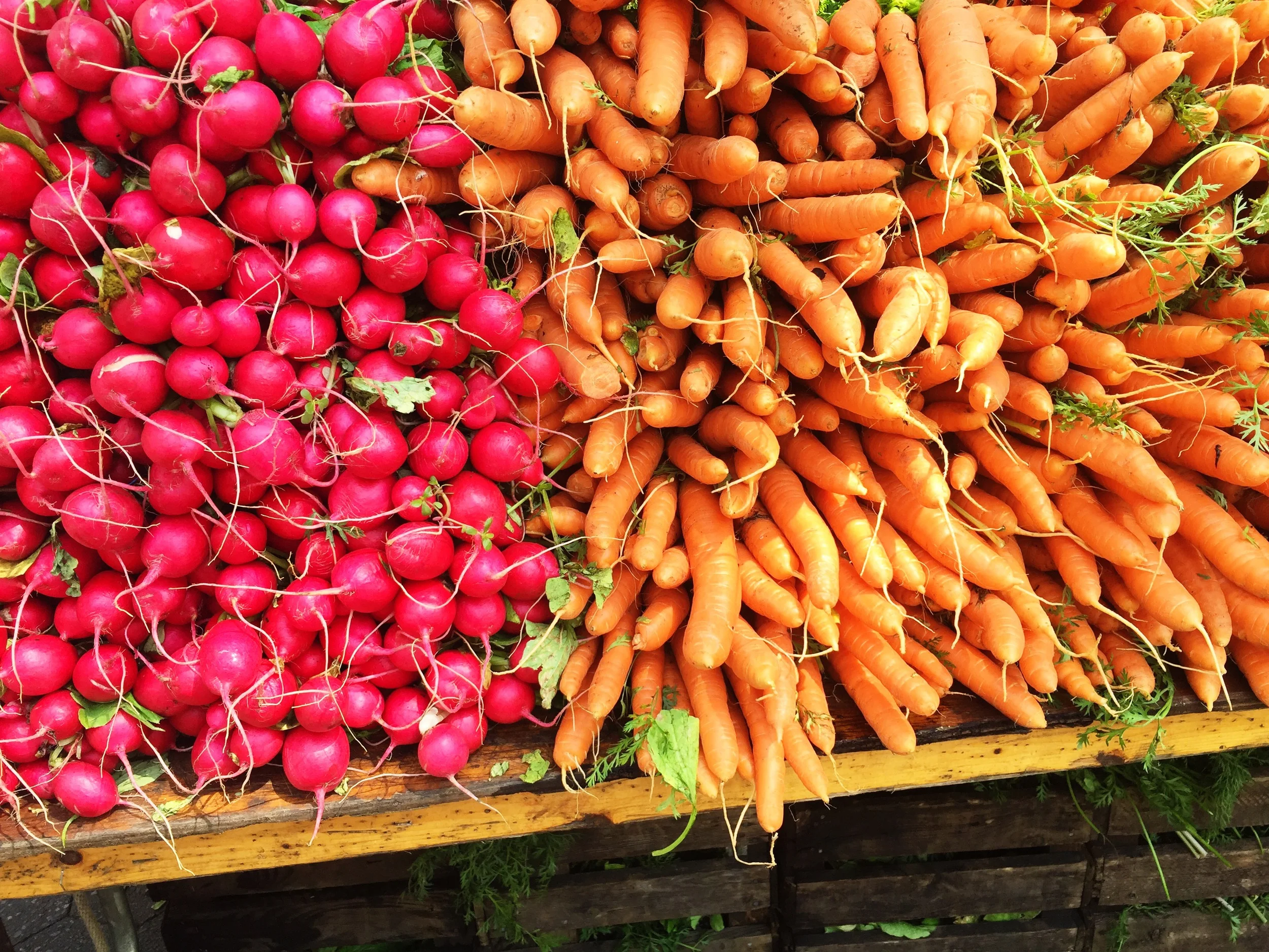 sam-c-perry-guide-to-eating-healthy-farmers-market-union-square-ny1.jpg