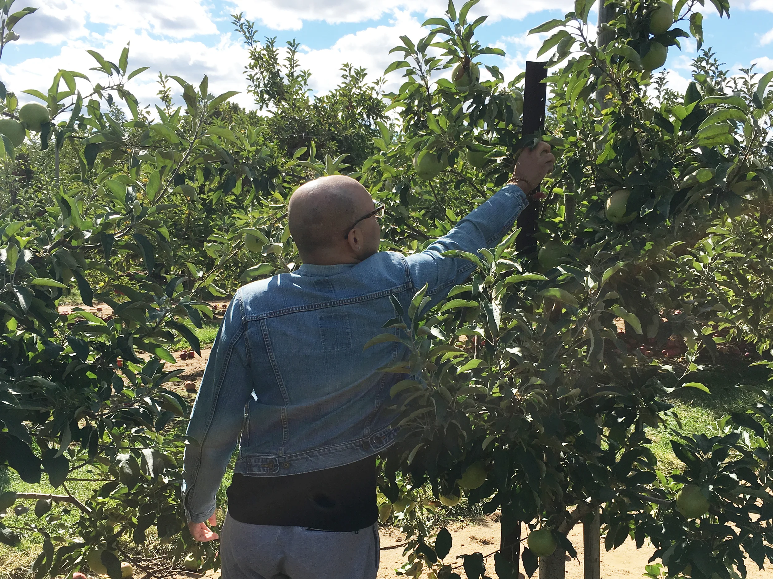 Sam-C-Perry-Lifestyle-PUMPKIN-PICKING-Eastmount-Orchards.jpg