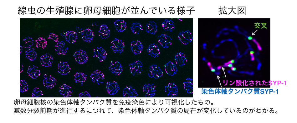 carlton lab website.004.png
