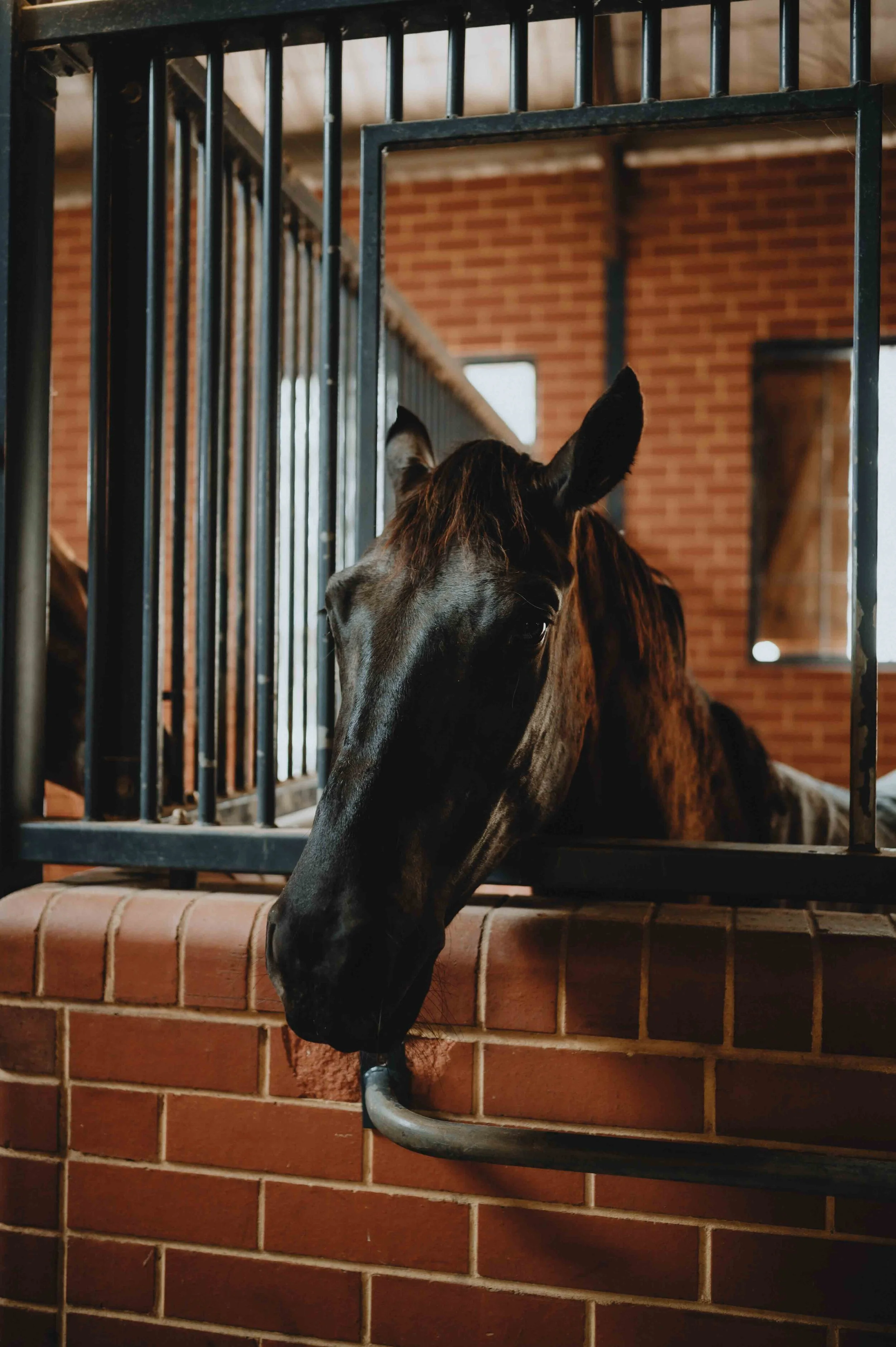 Brookleigh Estate Wedding | Gabriella & Mark-48.jpg