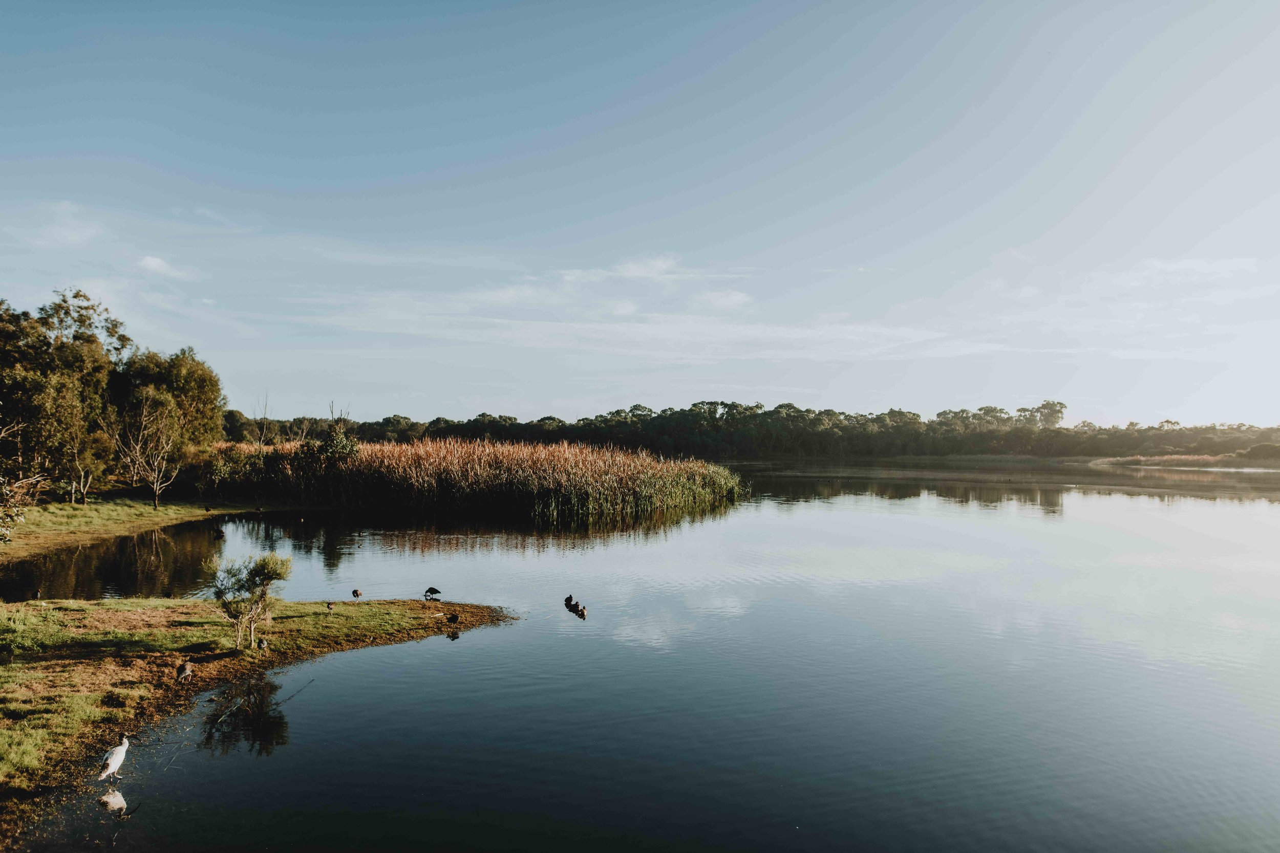 perth elopement photgrapher-3.jpg