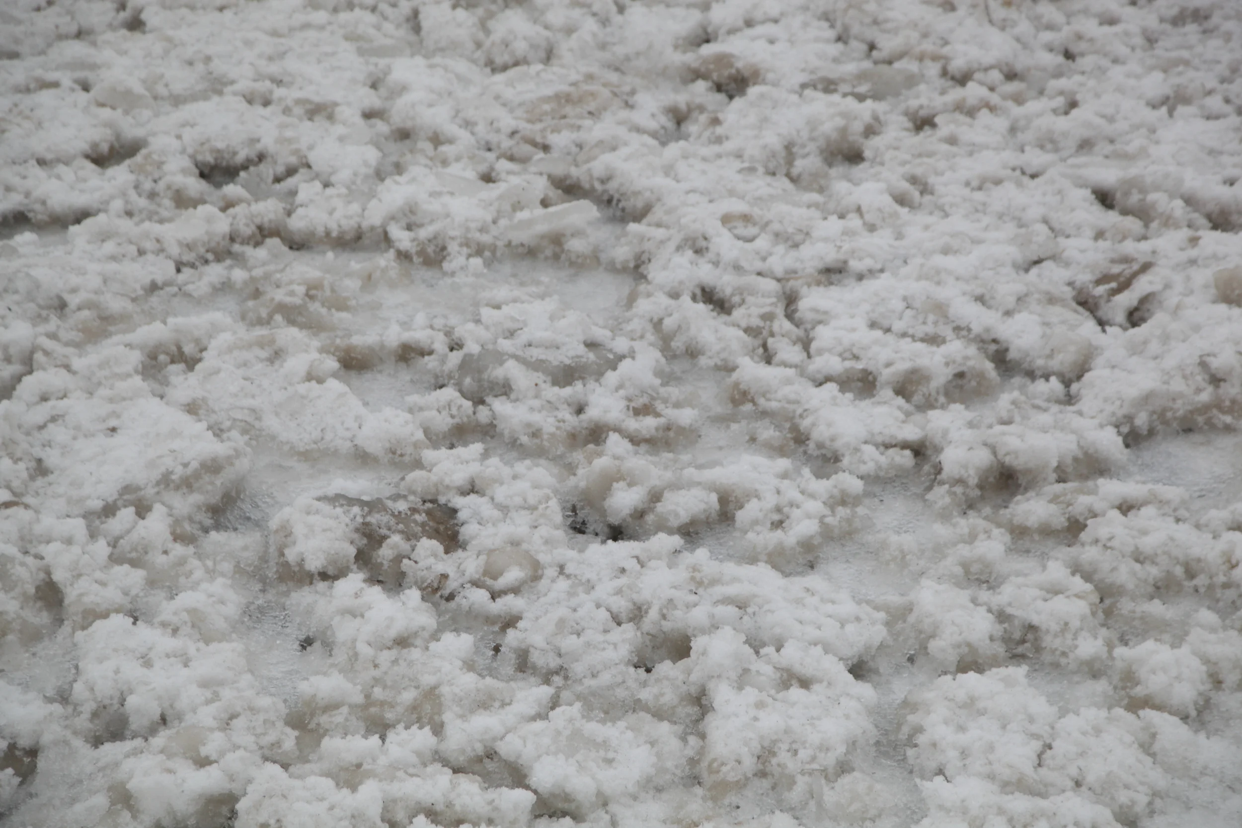 Color_Walk_Raw04.jpg