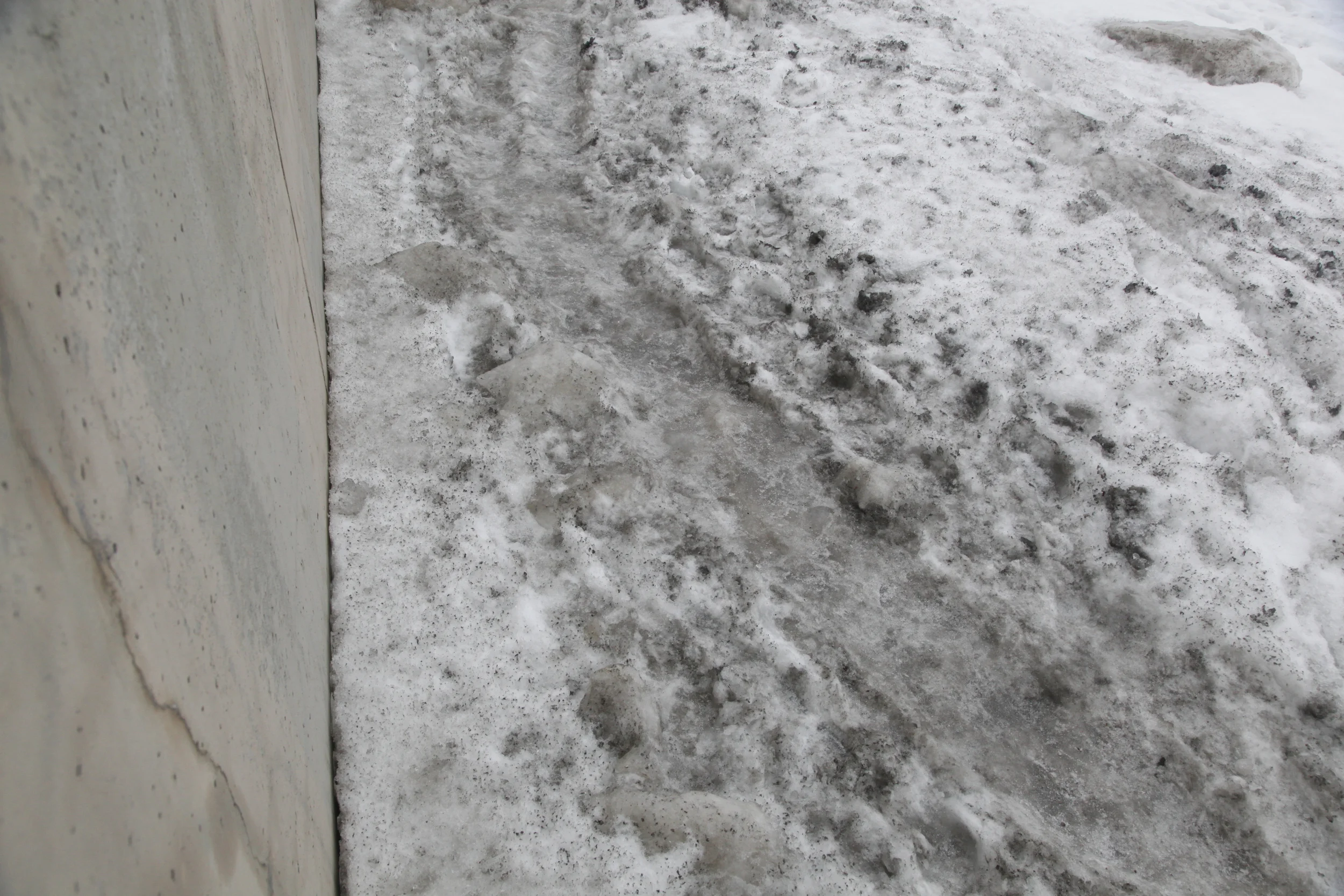 Color_Walk_Raw24.jpg