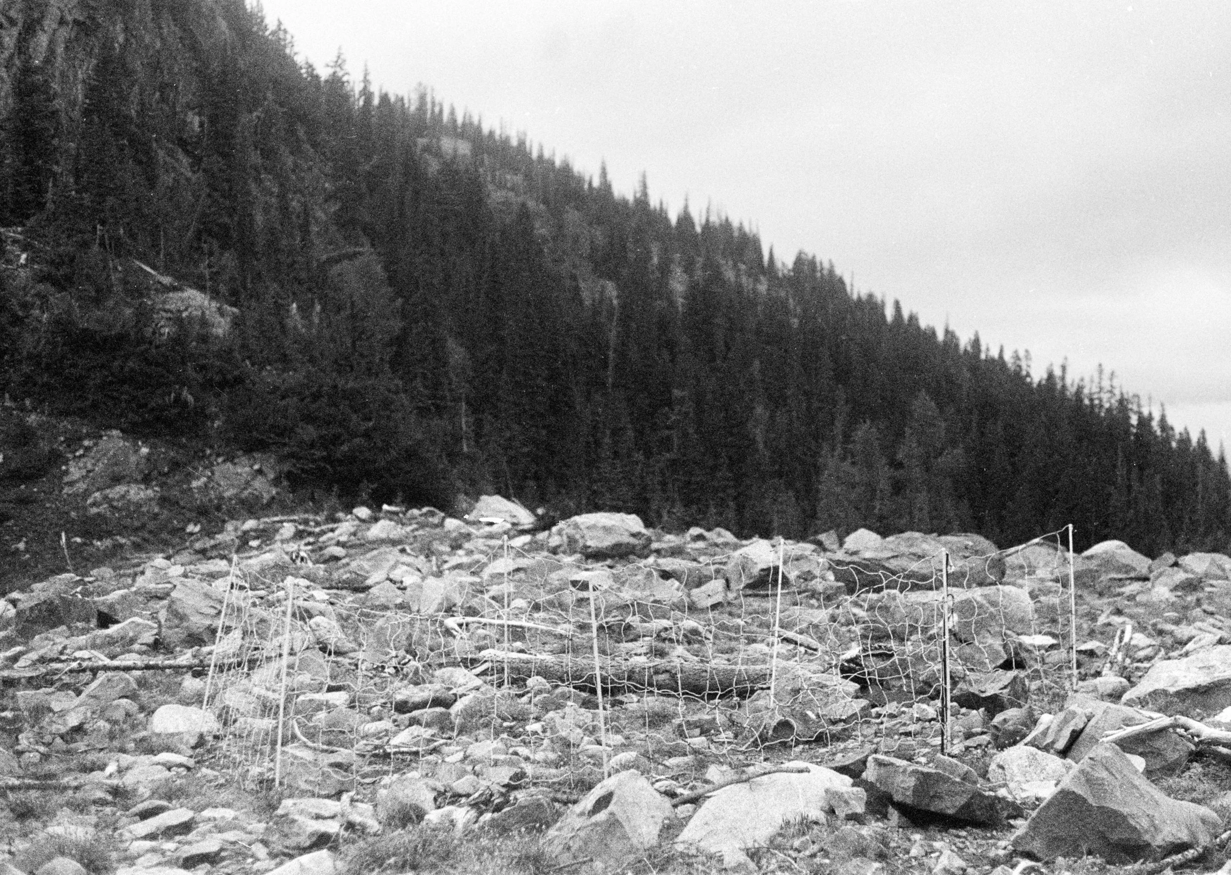 NOLS2-26.jpg