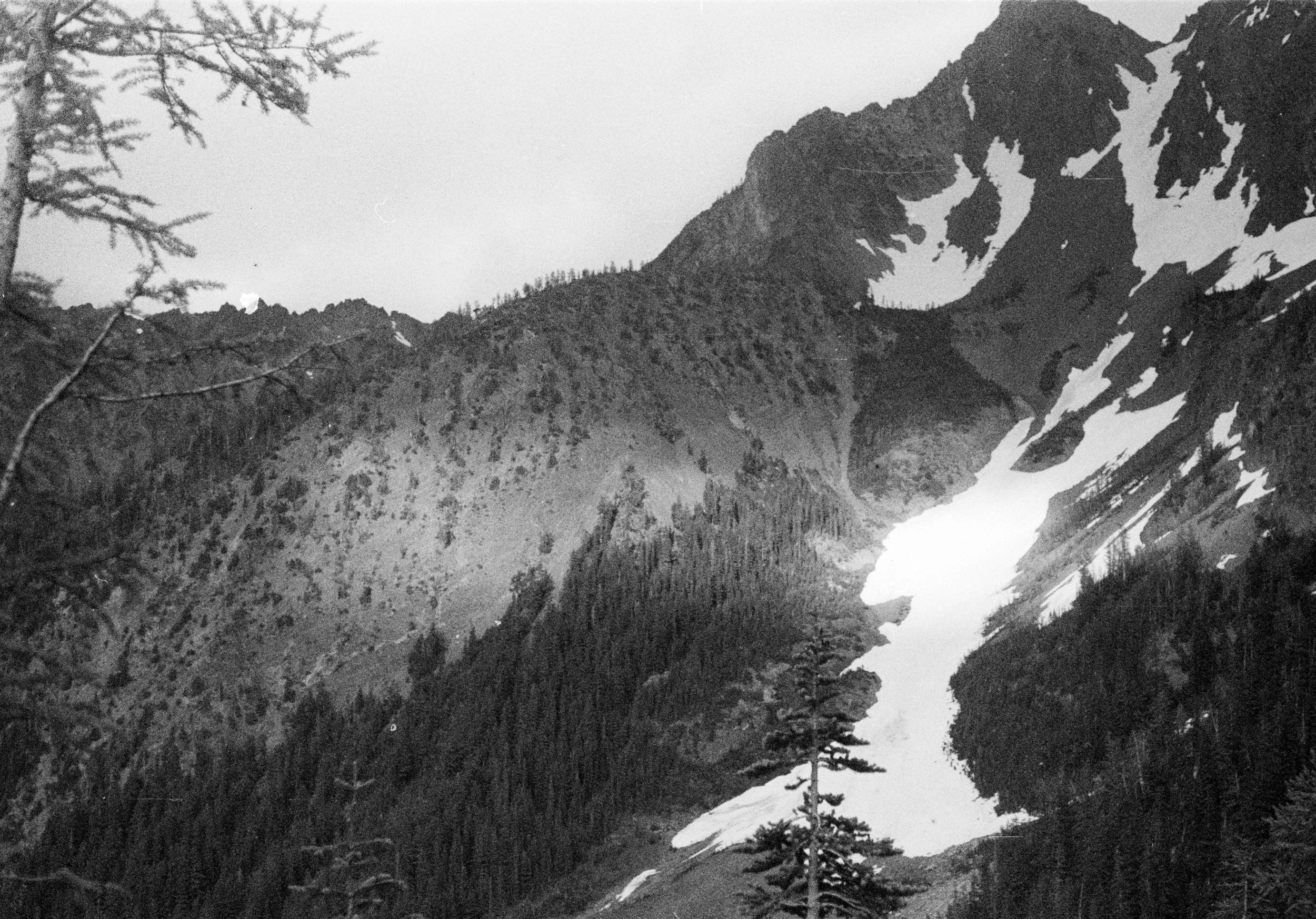 NOLS3-8.jpg