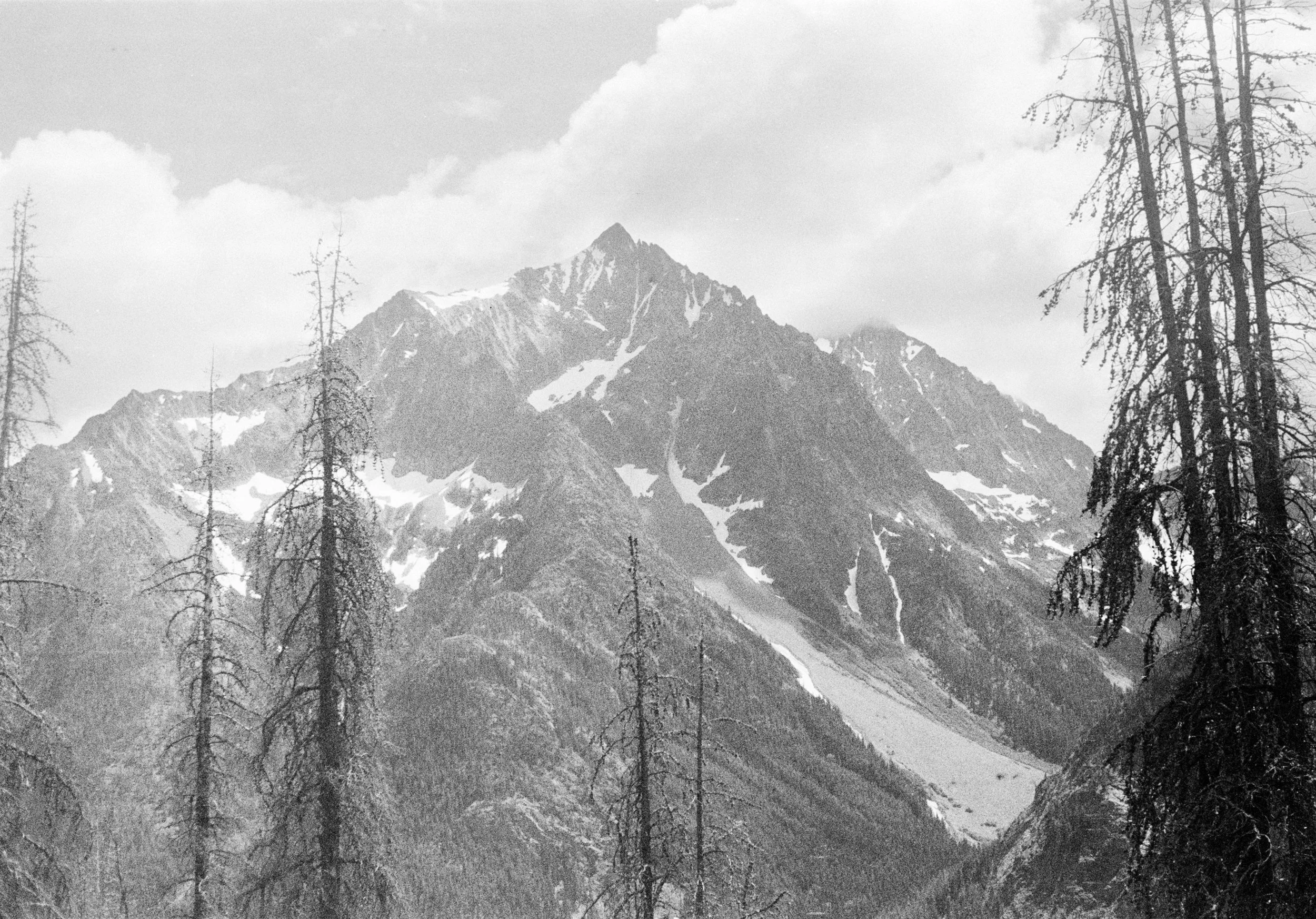 NOLS4-10.jpg